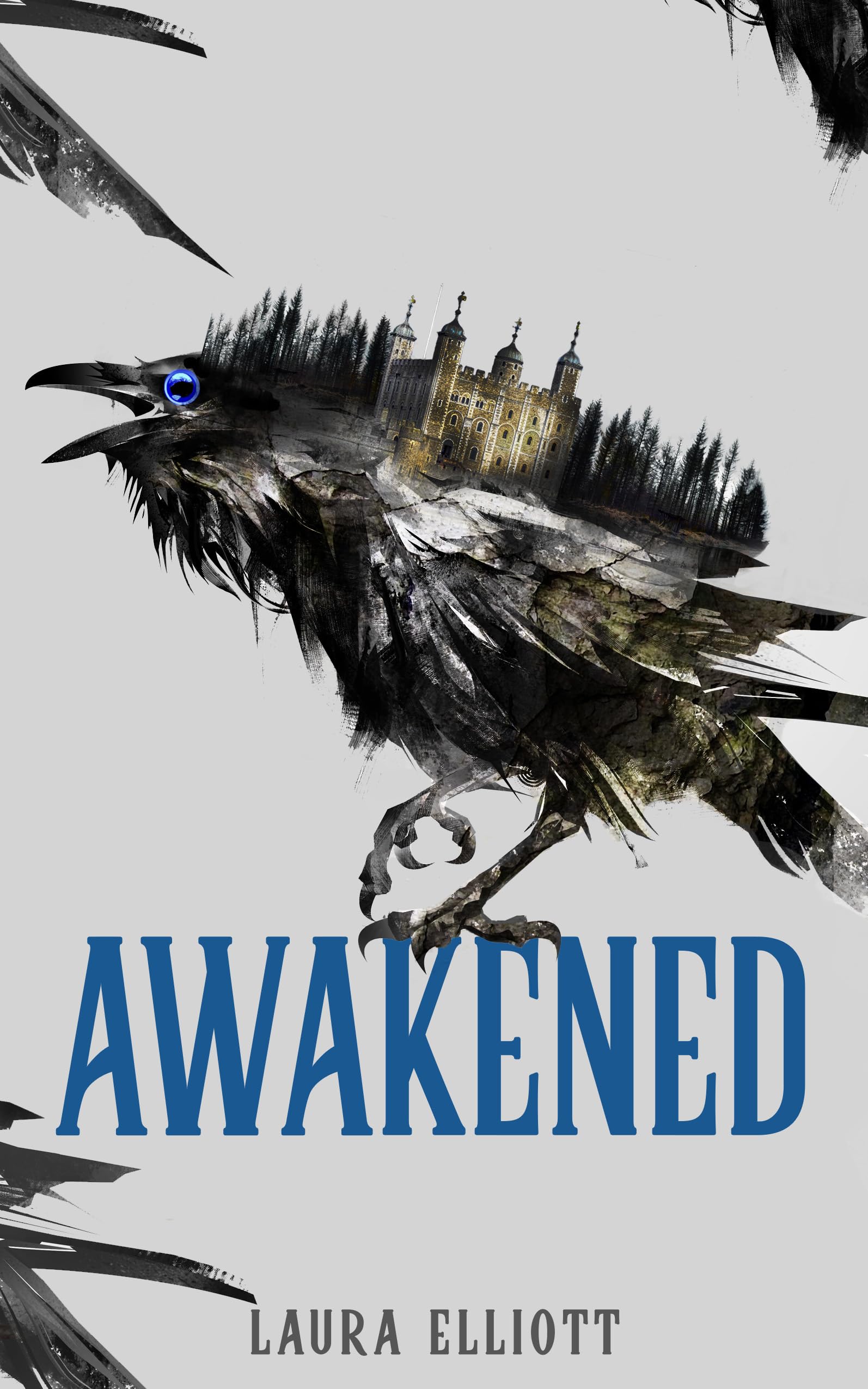 Awakened Contemporary literature Books