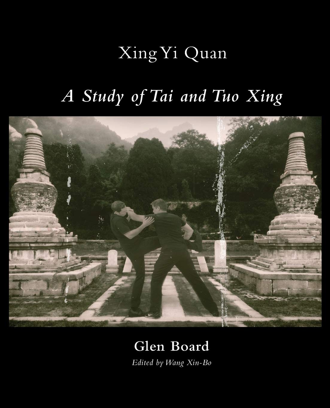 Xing Yi Quan - A Study of Tai and Tuo Xing Social Sciences