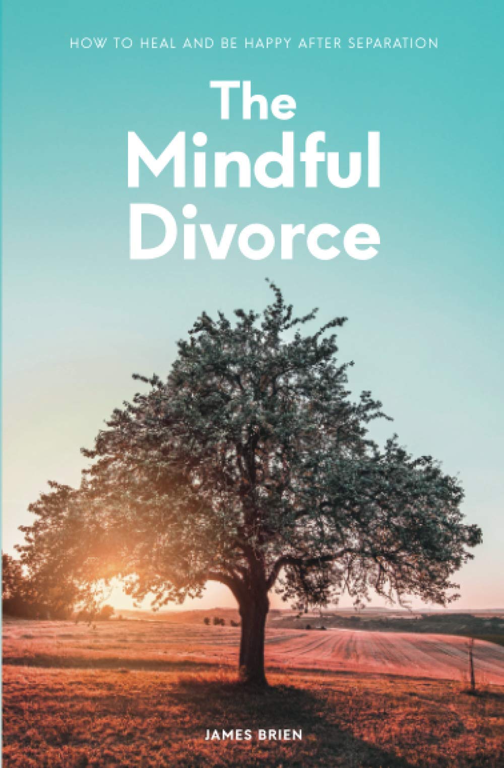 The Mindful Divorce: How To Heal And Be Happy After Separation Parents & Children