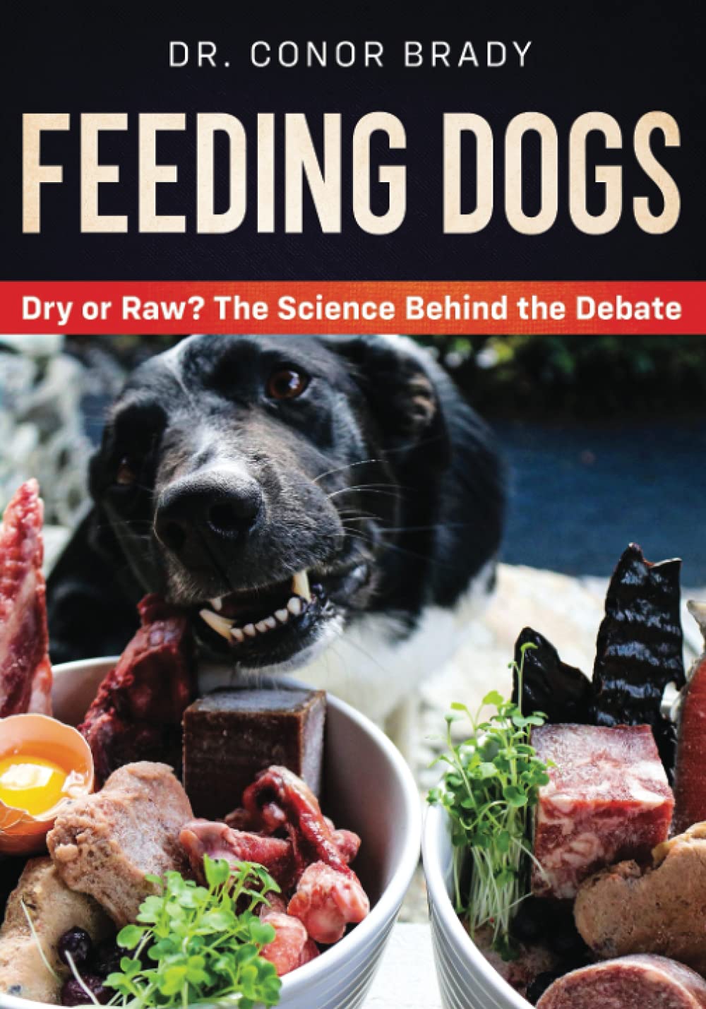 Feeding Dogs: The Science Behind The Dry Versus Raw Debate Medicine