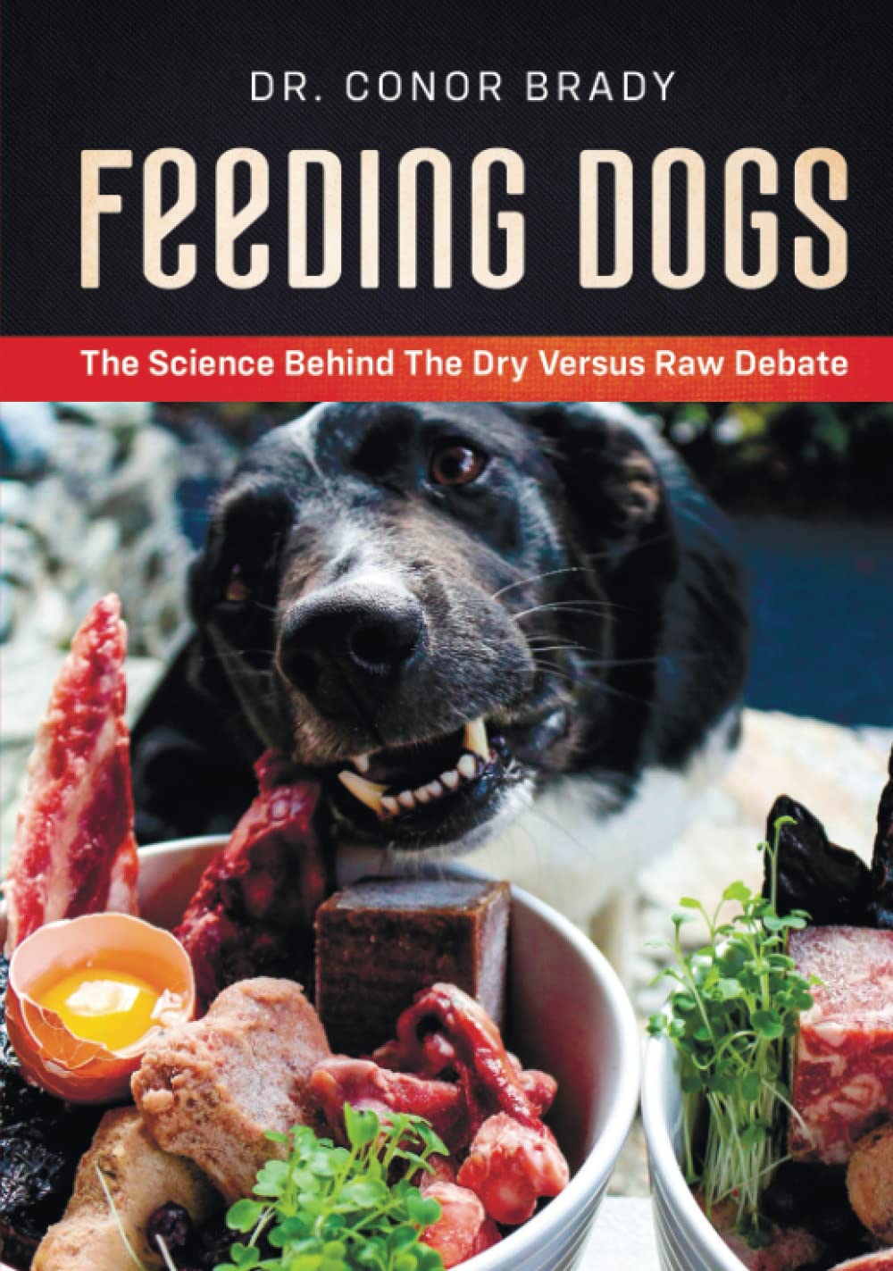 Feeding Dogs: The Science Behind The Dry Versus Raw Debate book