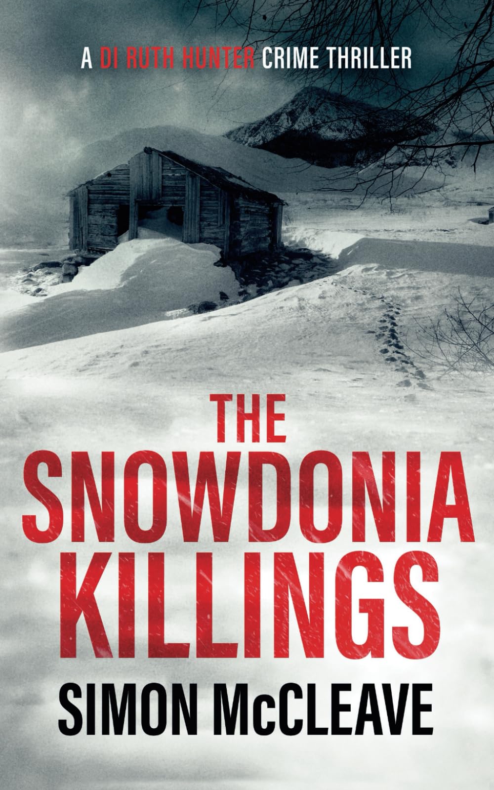 The Snowdonia Killings: A Snowdonia Murder Mystery Book 1 (A DI Ruth Hunter Crime Thriller, Band 1) Contemporary literature