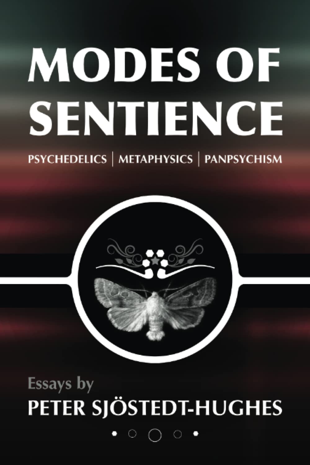 Modes of Sentience: Psychedelics, Metaphysics, Panpsychism Philosophy