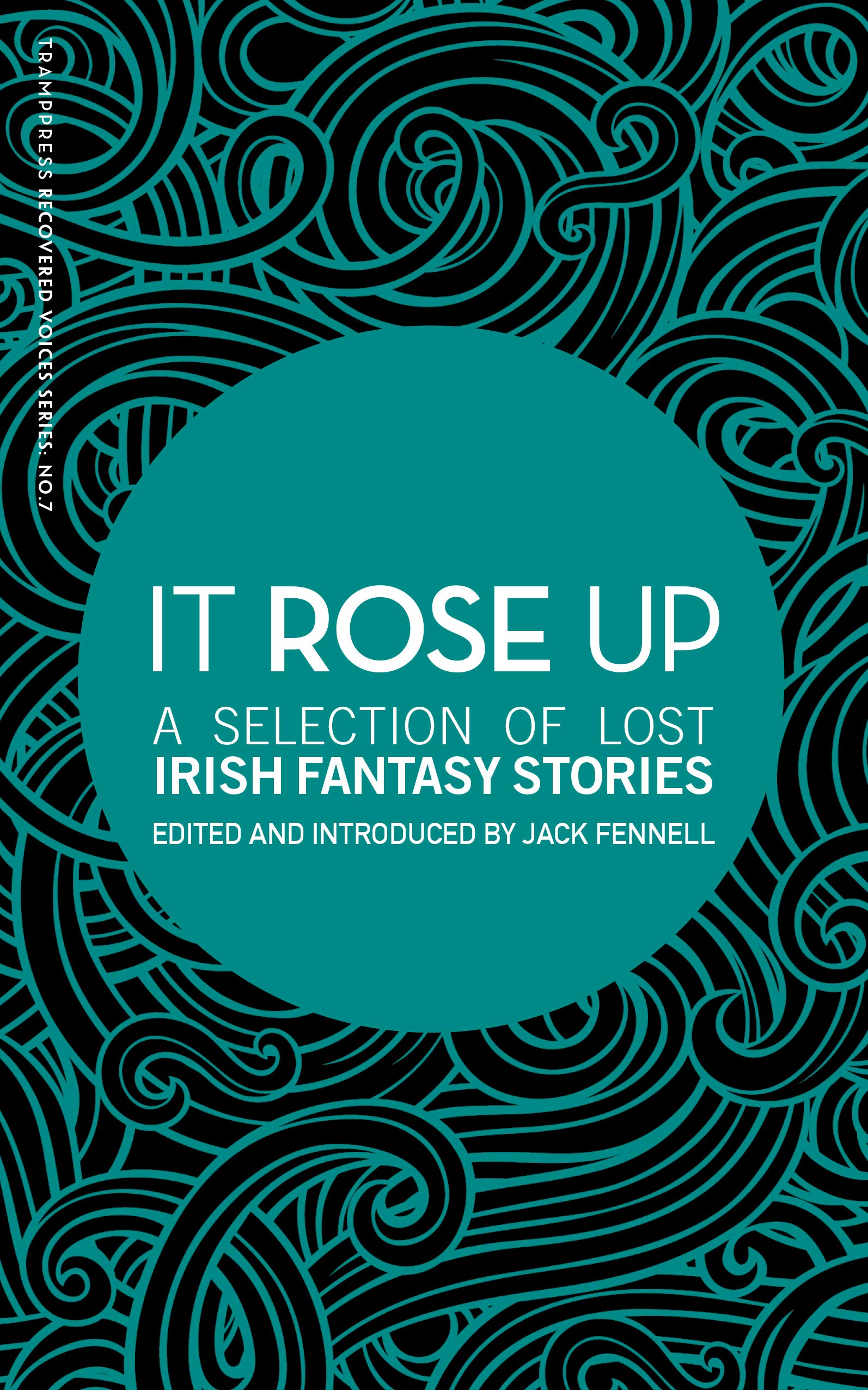 It Rose Up: A Selection of Lost Irish Fantasy Stories book