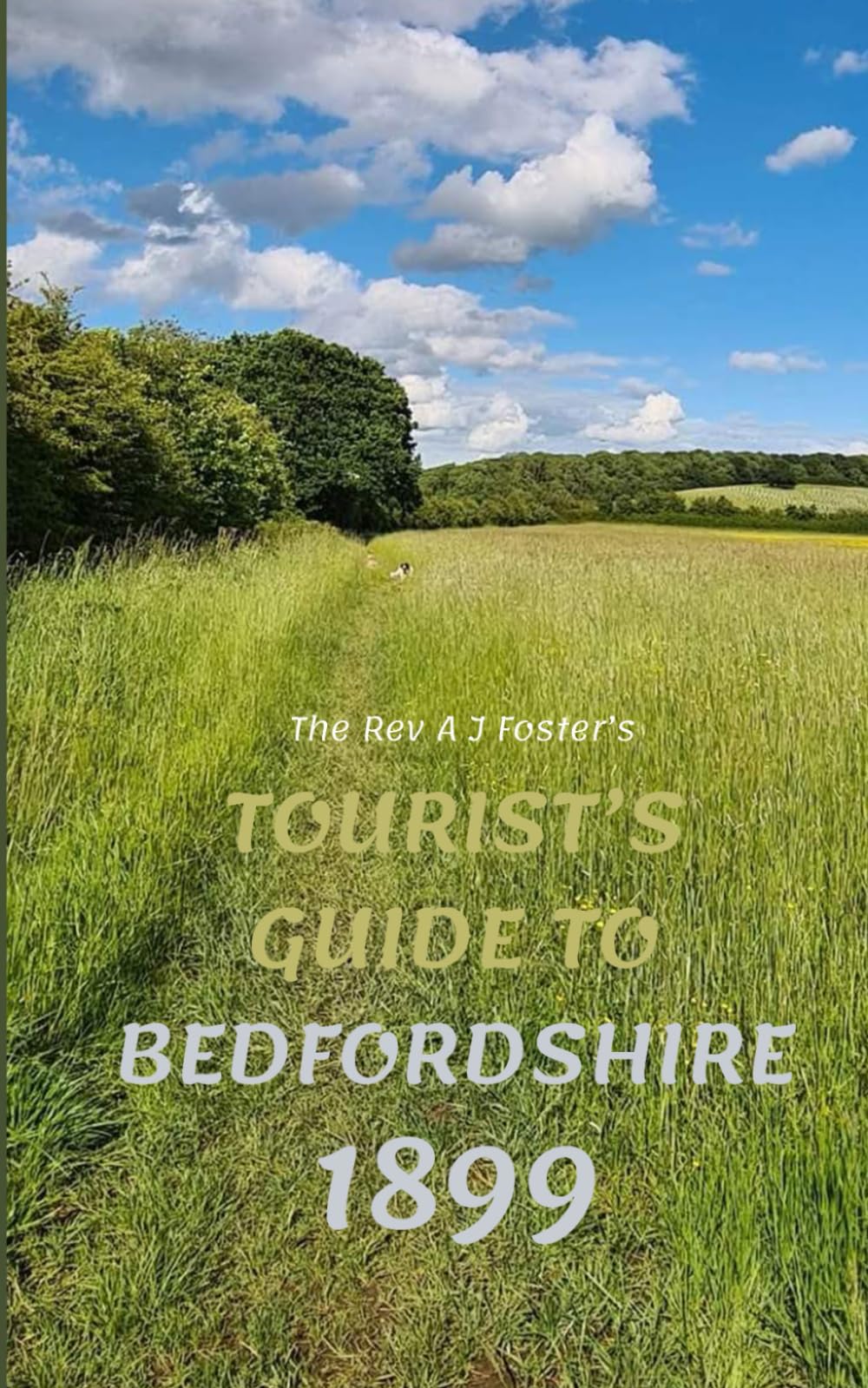 Tourist's Guide to Bedfordshire 1899 Books