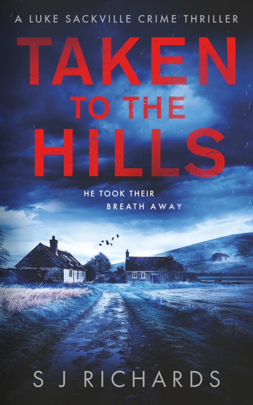 Taken to the Hills: A Fast-paced British Crime Thriller book