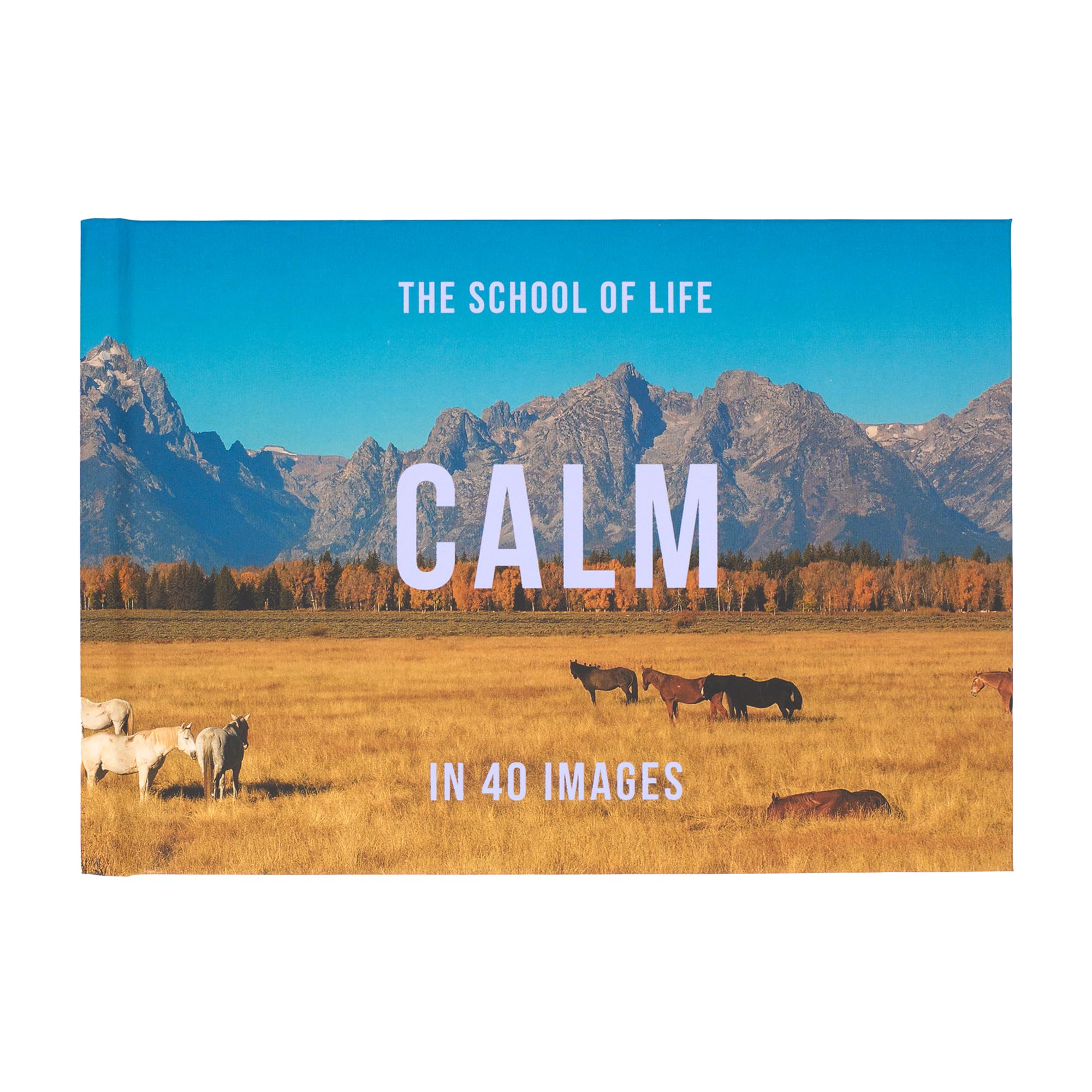 Calm in 40 Images book