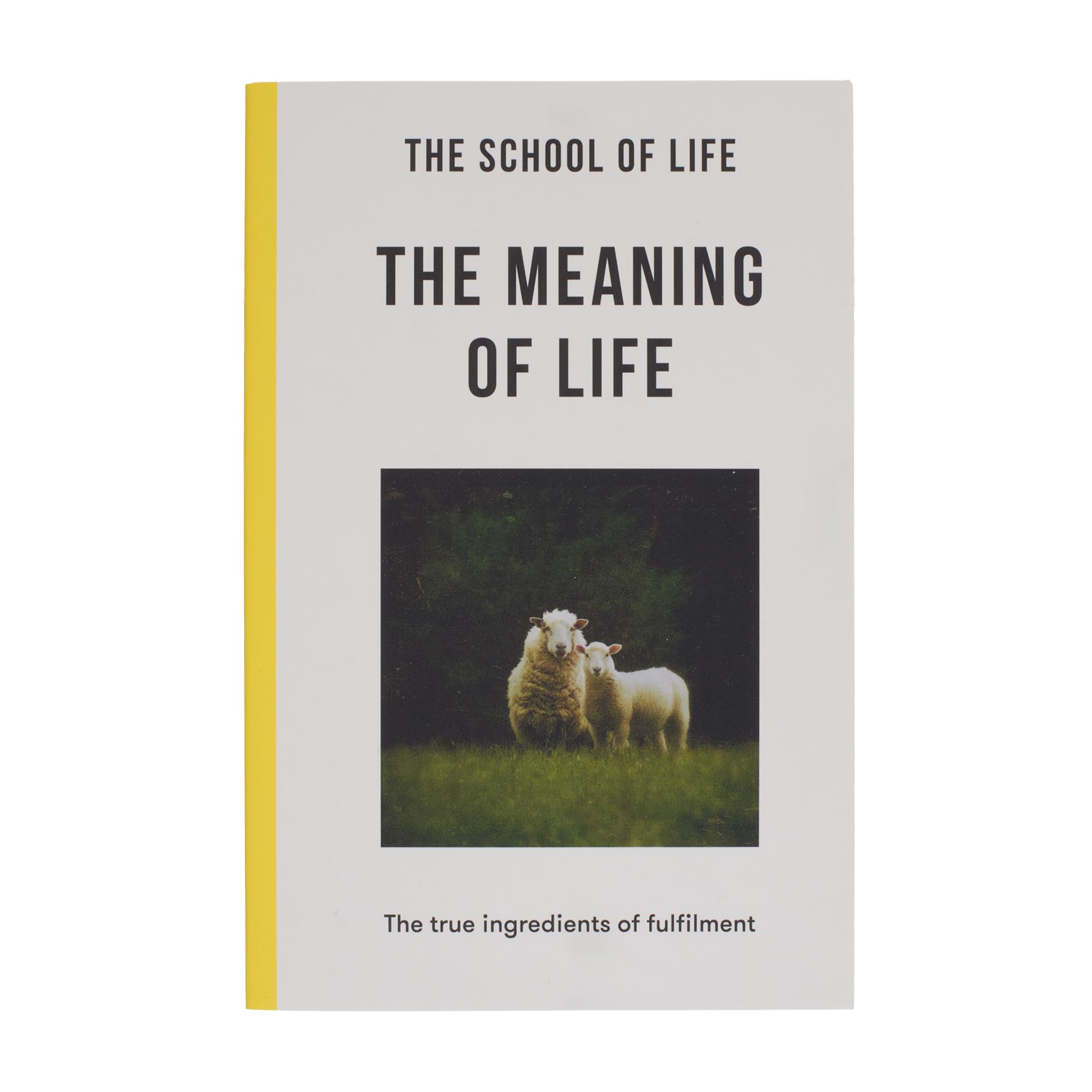 The Meaning of Life Philosophy