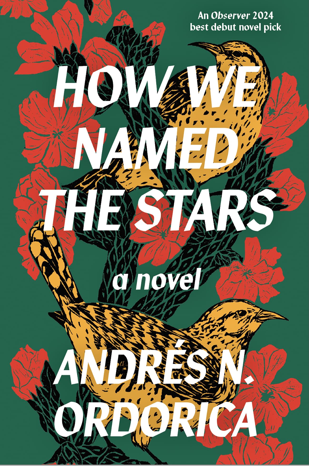 How We Named the Stars Contemporary literature