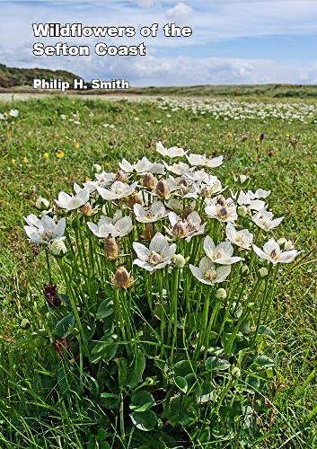 The Wildflowers of the Sefton Coast Mathematics