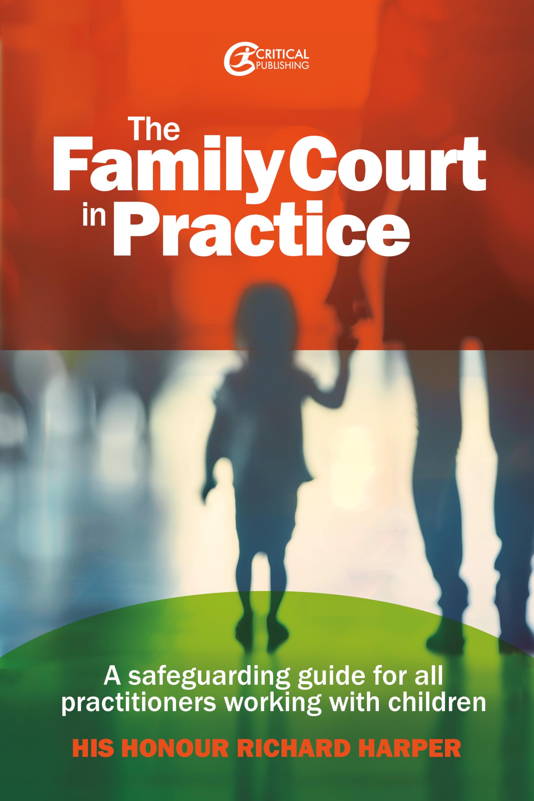 The Family Court in Practice Law