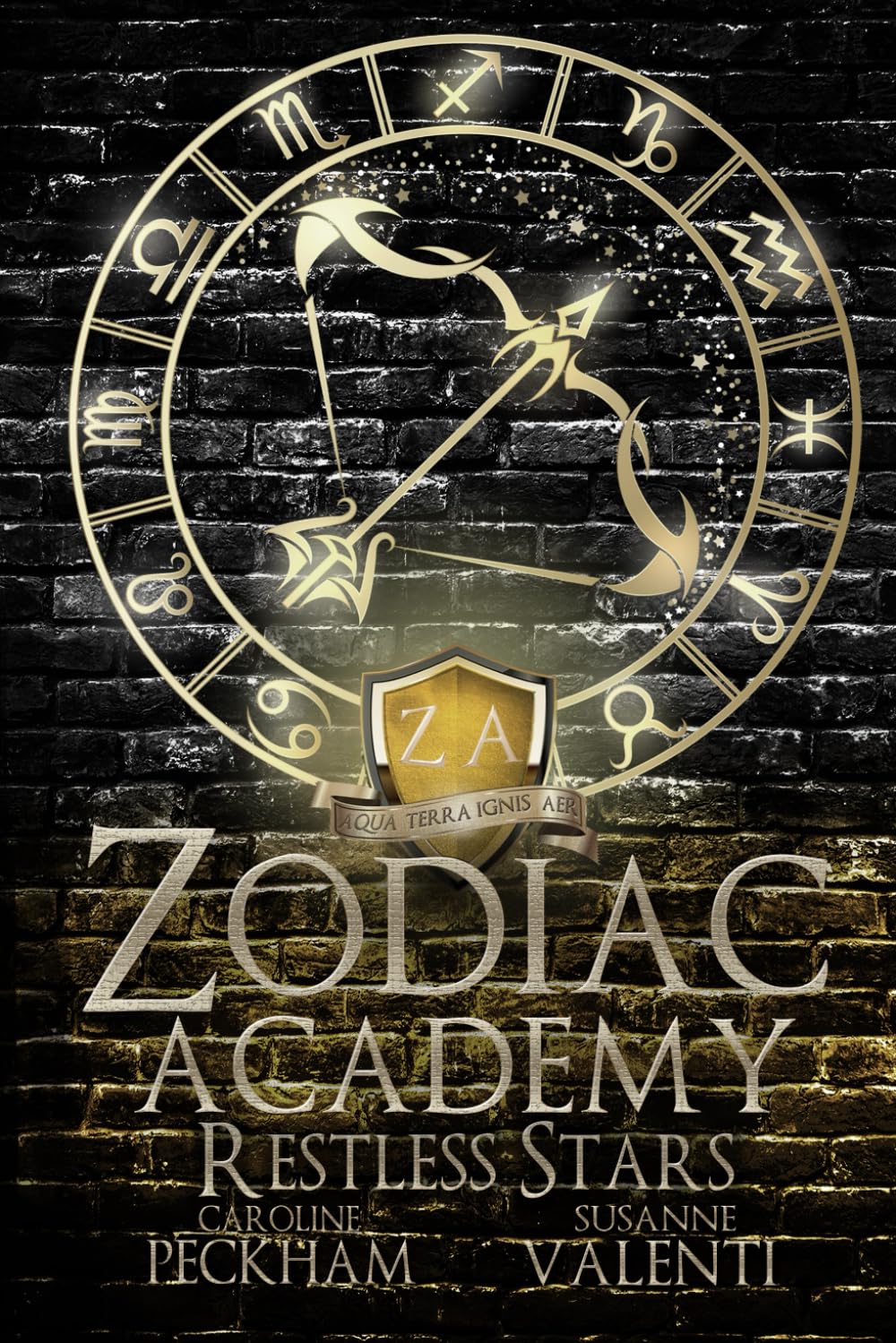 Zodiac Academy 9: Restless Stars: Matte Edition Romance