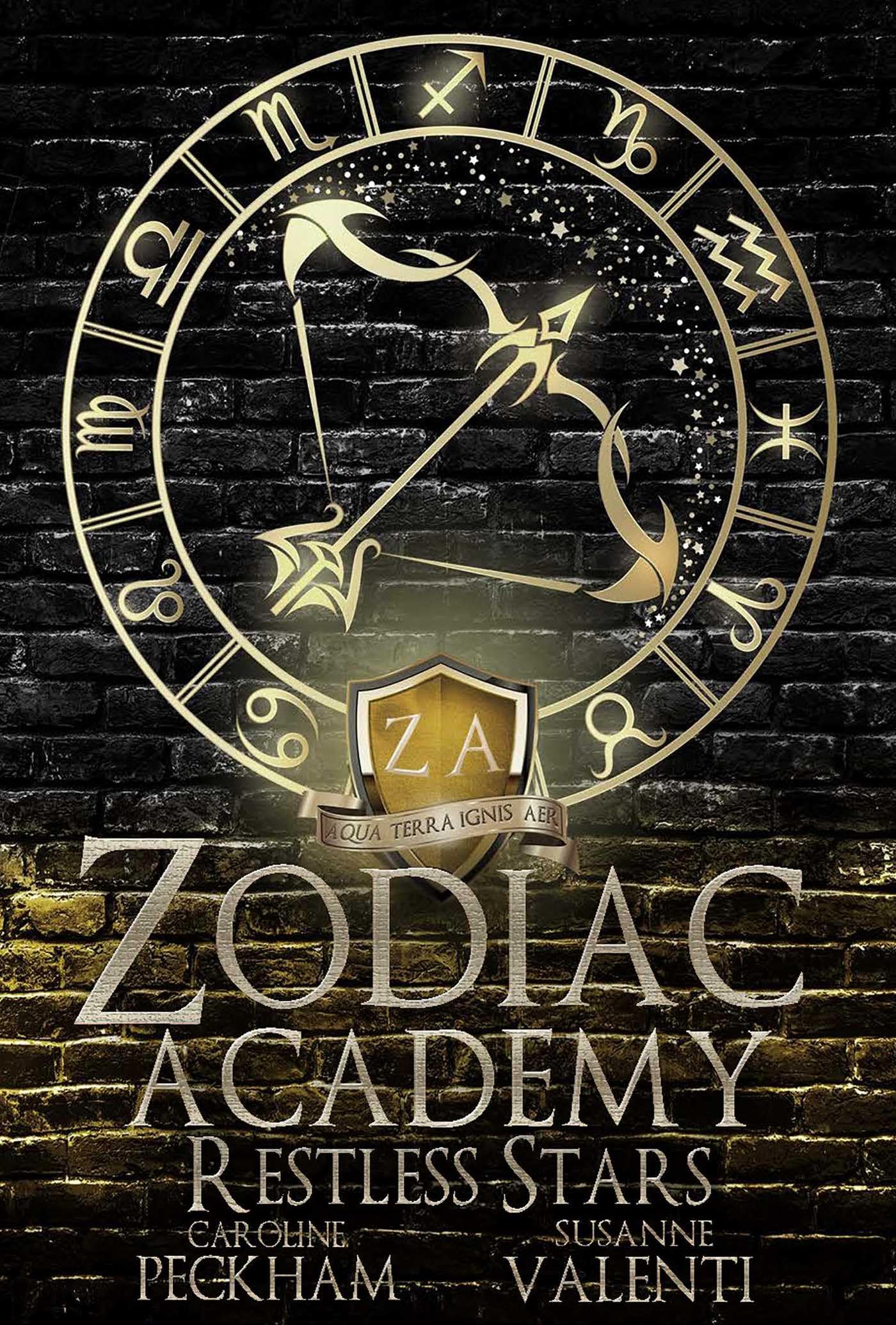 Zodiac Academy 9 Action & Adventure