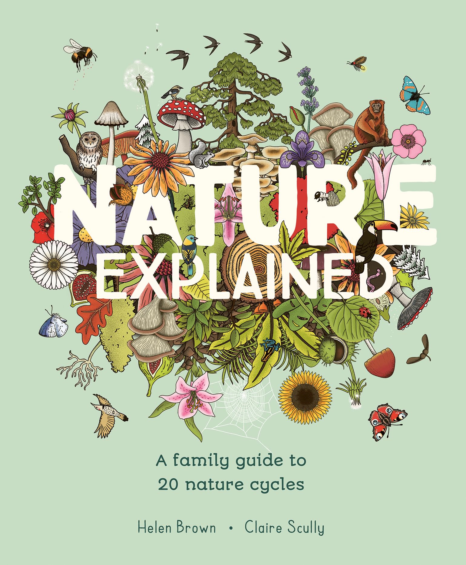 Nature Explained: A Family Guide to 20 Nature Cycles Non-fiction
