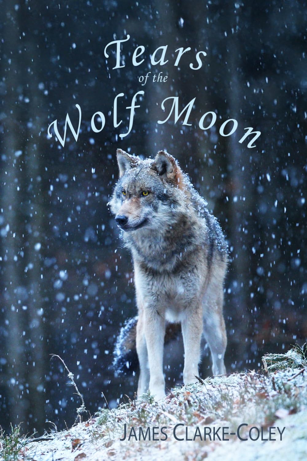 Tears of the Wolf Moon Poetry