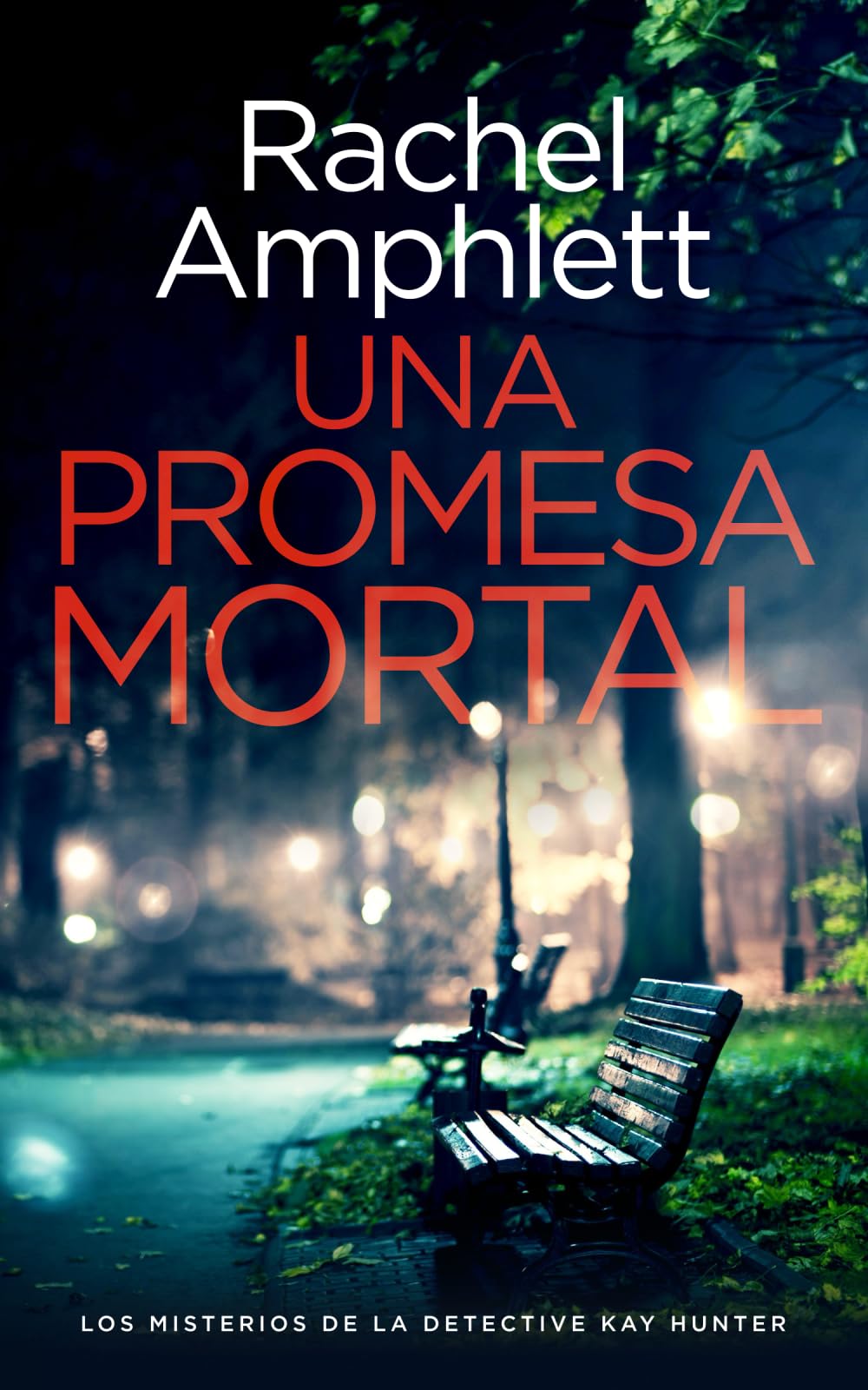 Una promesa mortal (Los misterios de la detective Kay Hunter, Band 13) Contemporary literature