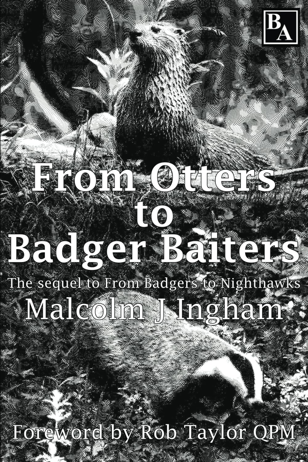 From Otters to Badger Baiters (From Badgers, Band 2) Mathematics