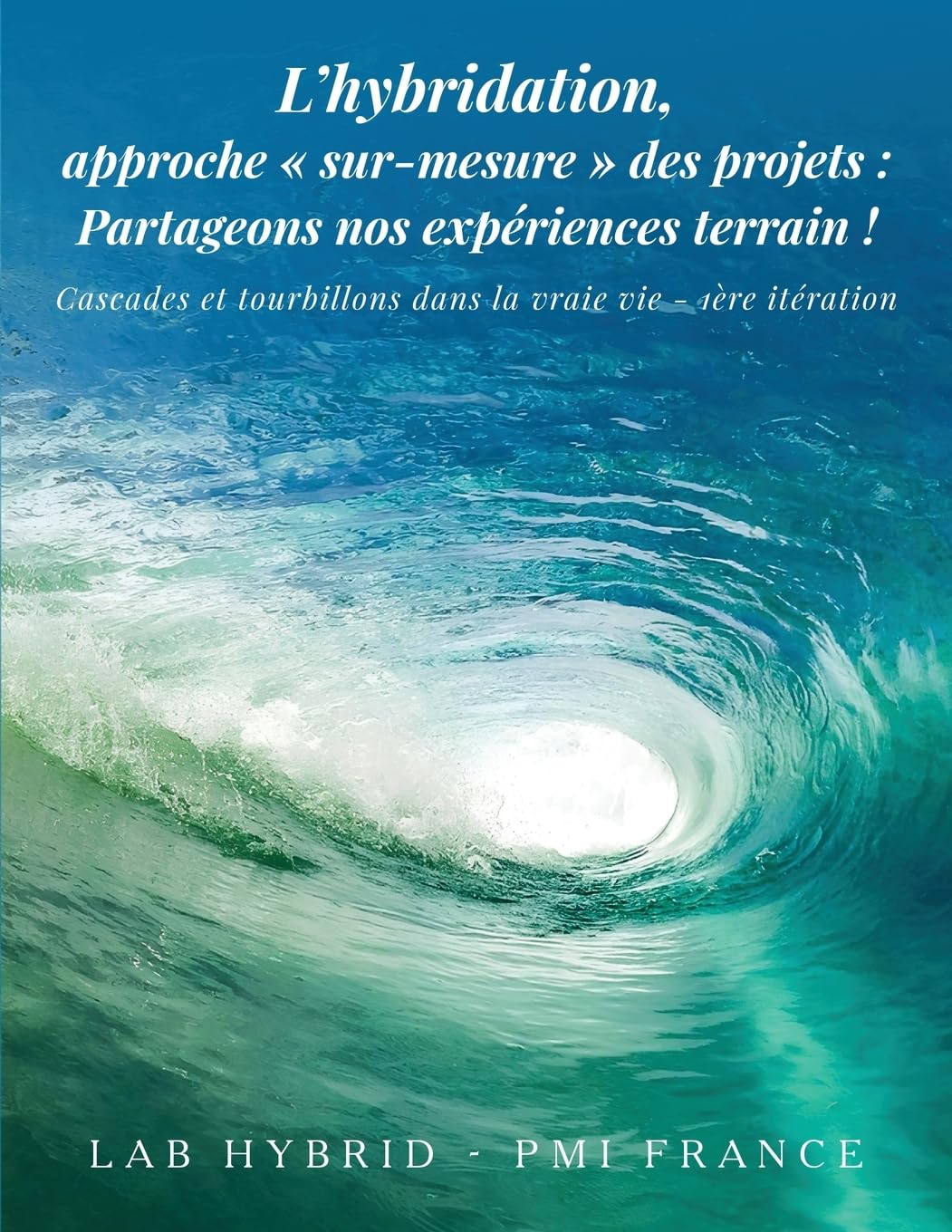 L'hybridation, approche sur-mesure des projets: Cascades et tourbillons dans la vraie vie book