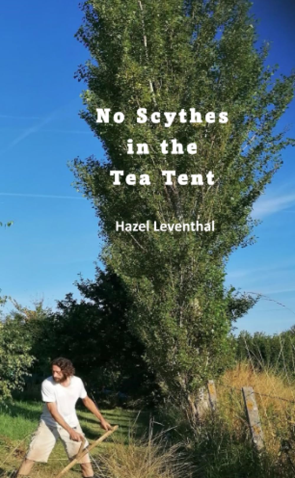 No Scythes in the Tea Tent & Other Stories Essays & Short Stories