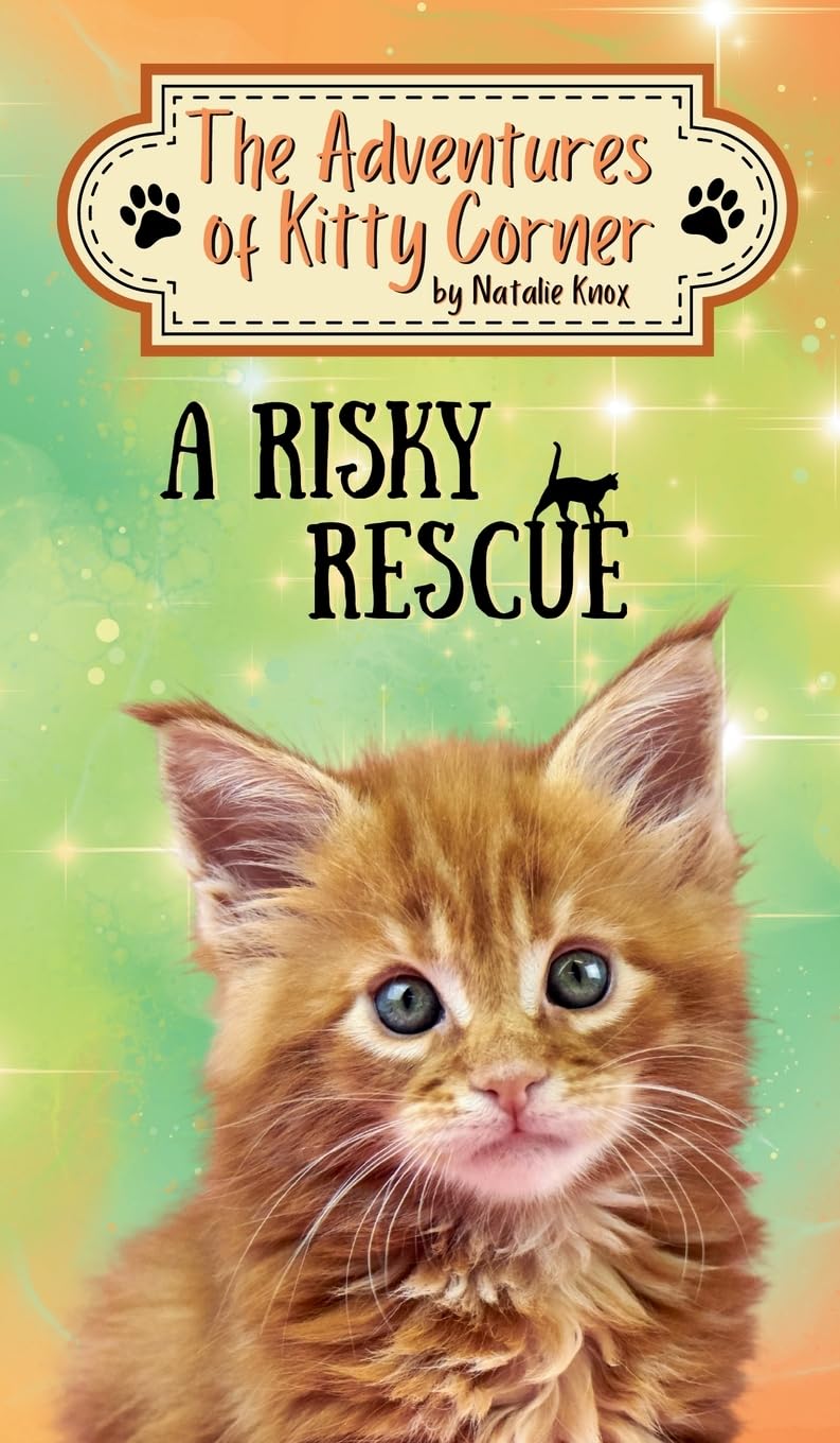 Product Image: A Risky Rescue
