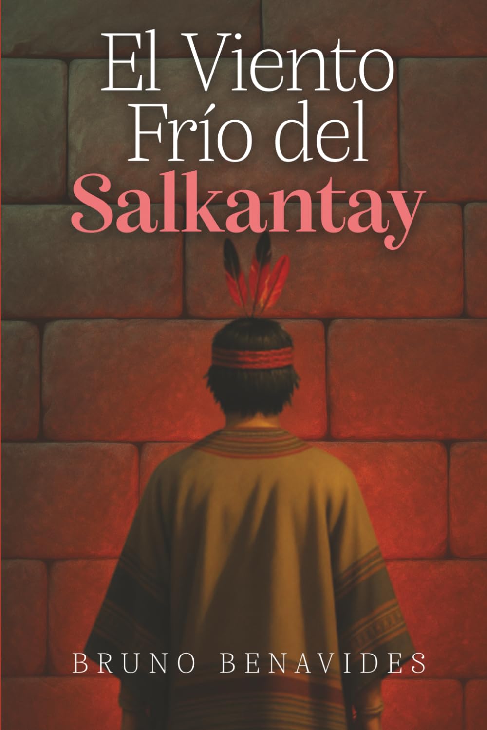 EL VIENTO FRÍO DEL SALKANTAY Contemporary literature