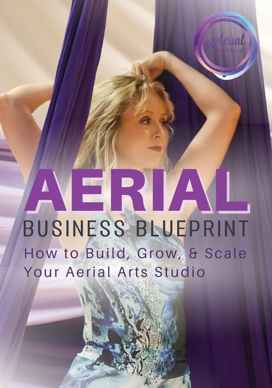 Aerial Business Blueprint Law