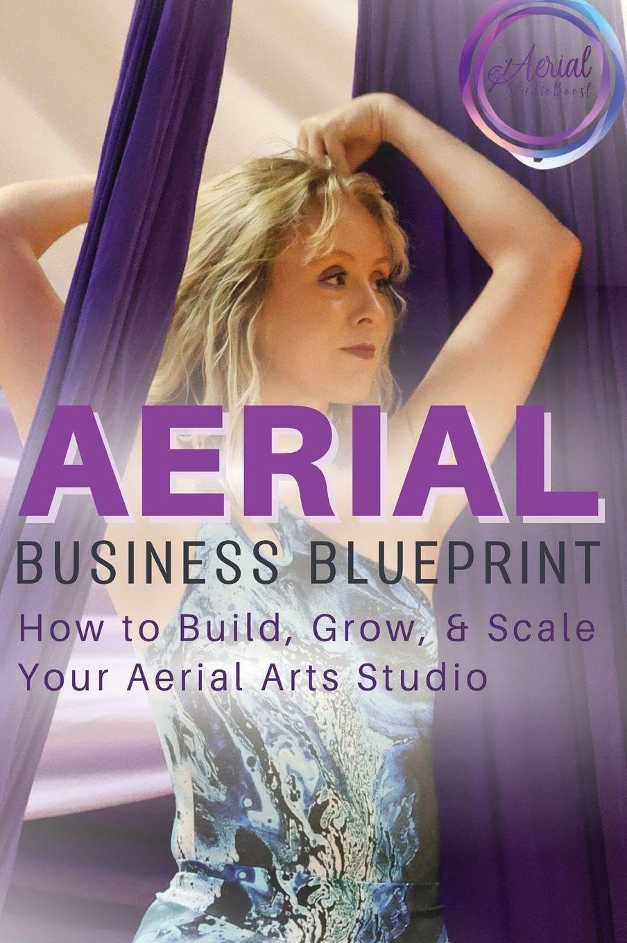Aerial Business Blueprint Law