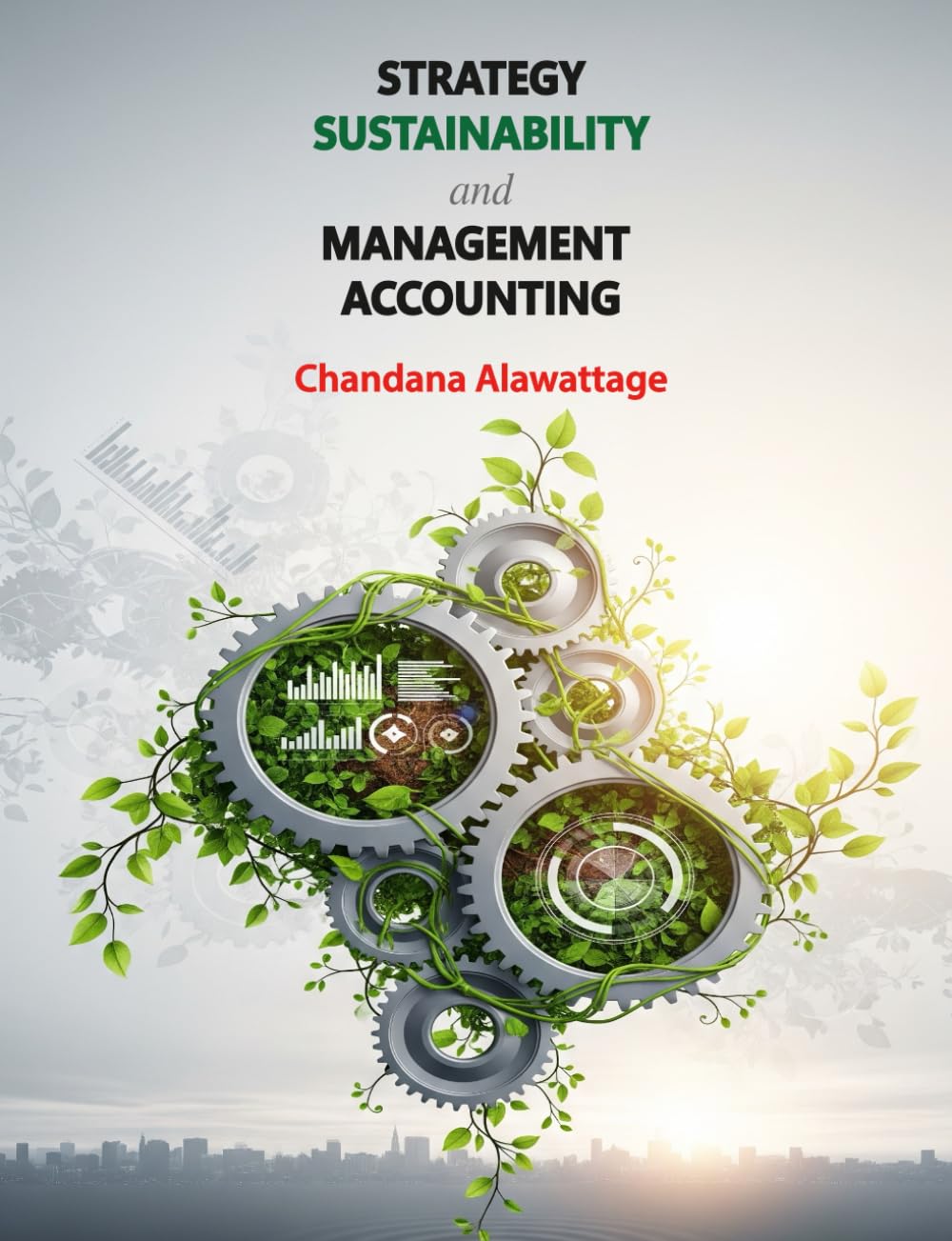 Strategy Sustainability and Management Accounting Business, Finance & Career