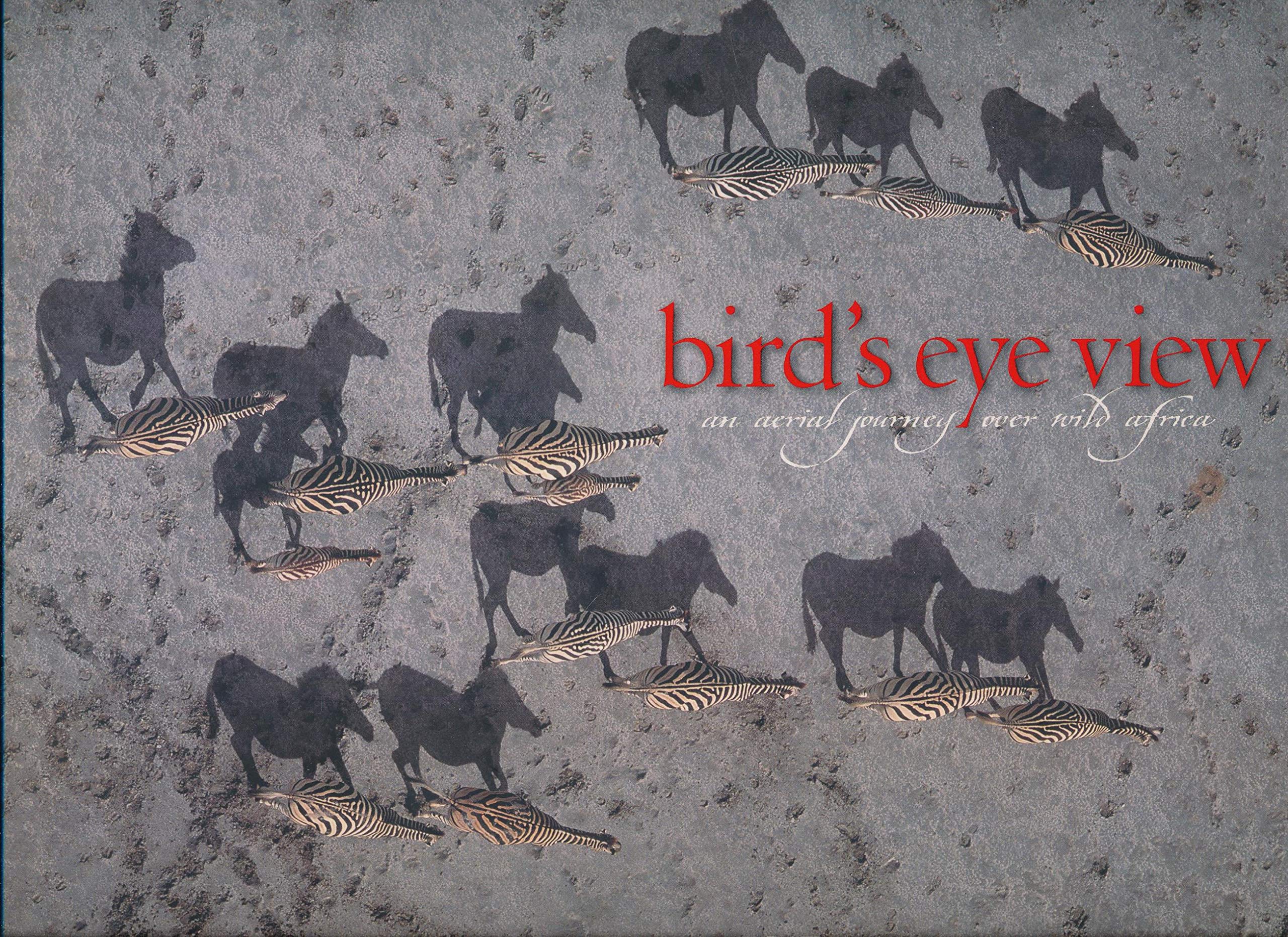 Bird's Eye View,An aerial journey over wild Africa ;An aerial journey over wild Africa Books