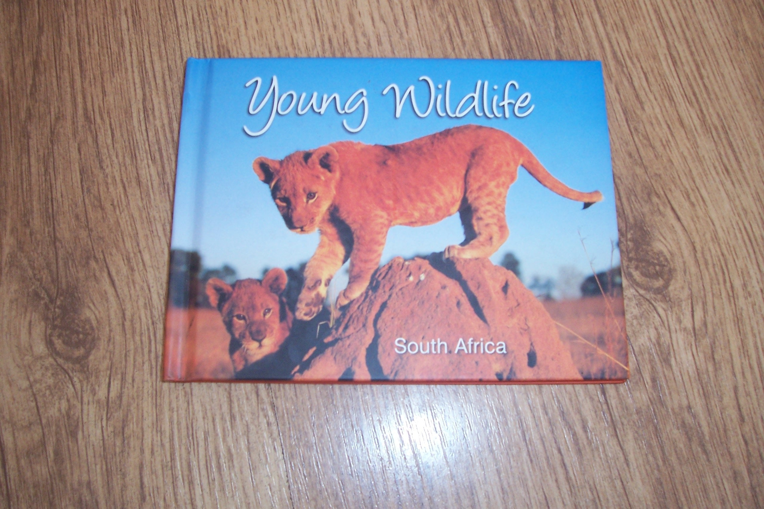 Young Wildlife: South Africa Books