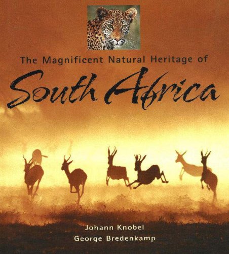 The magnificent natural heritage of South Africa Mathematics