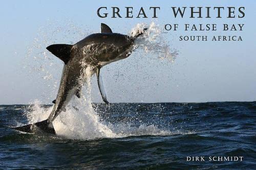 Great Whites of False Bay -- South Africa Mathematics