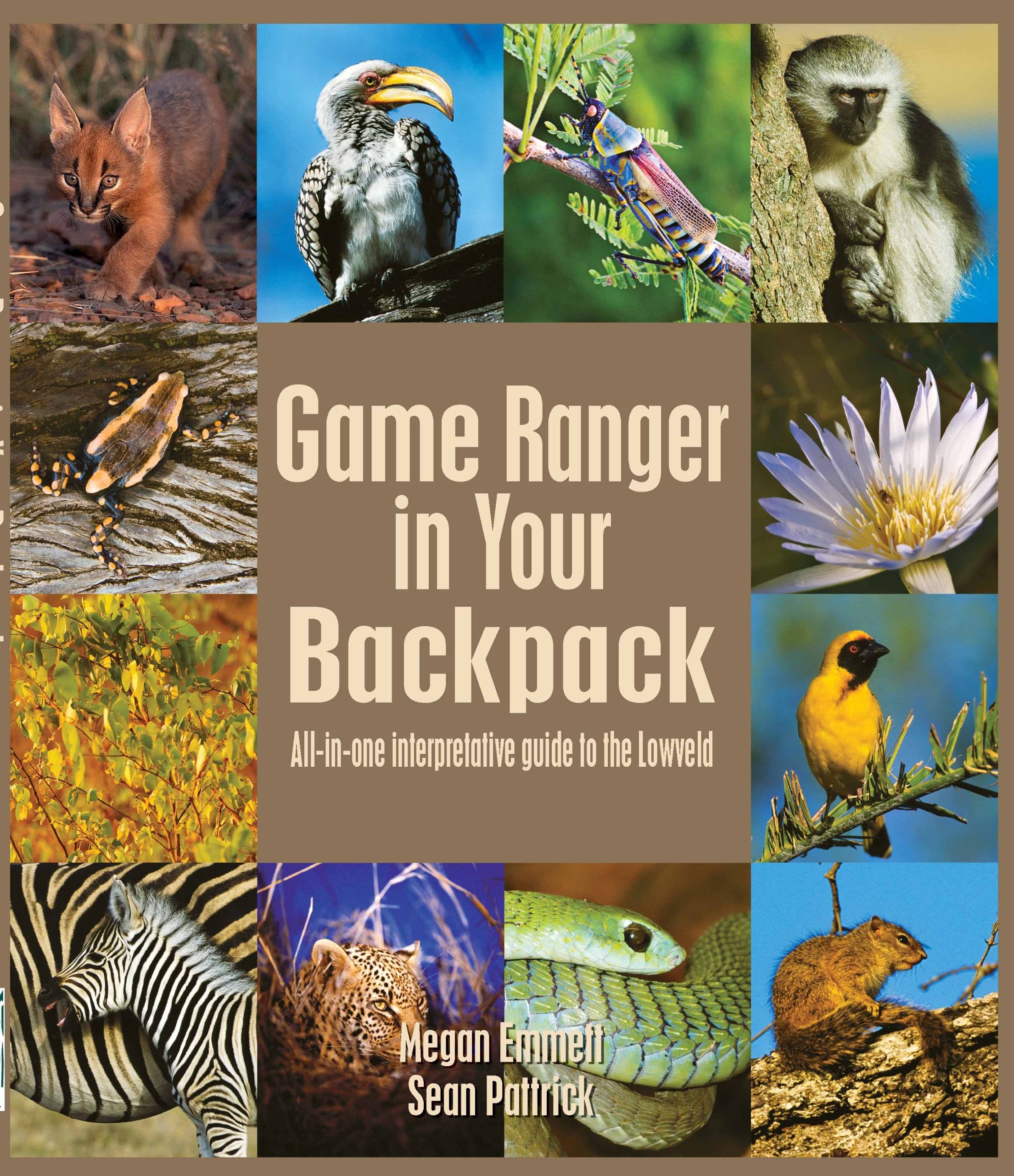 Game Ranger in your back pack Mathematics Books