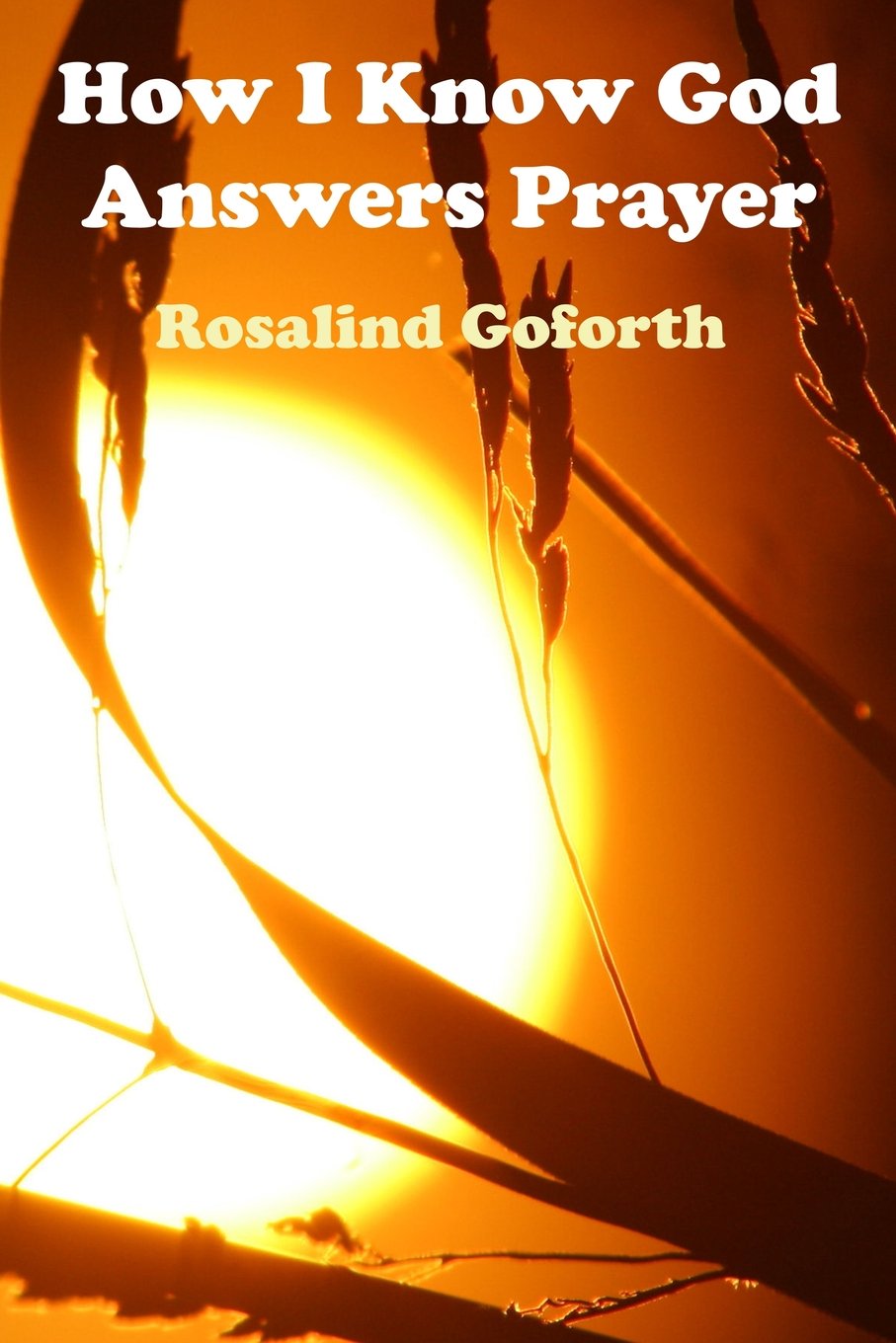 How I Know God Answers Prayer: The Personal Testimony Of One Life-Time Social Sciences