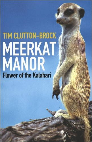 Meerkat Manor: Flower of the Kalahari book