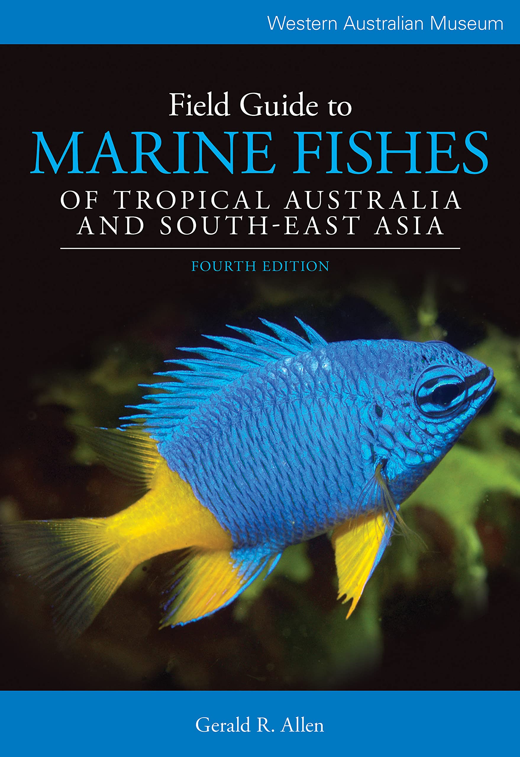 Field Guide to Marine Fishes of Tropical Australia and South-East Asia Mathematics