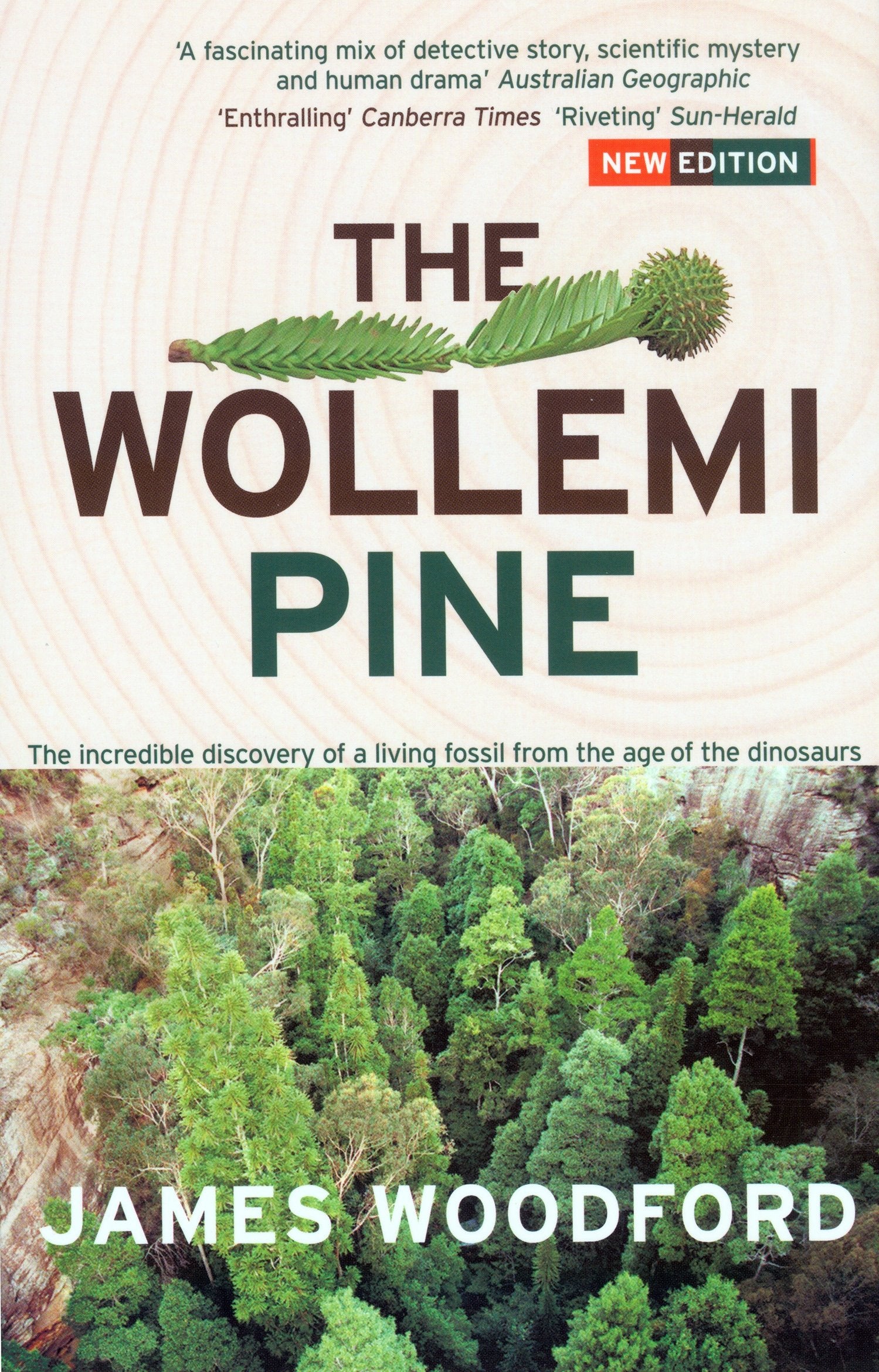 The Wollemi Pine: The Incredible Discovery of a Living Fossil from the Age of the Dinosaurs Geology & Geography