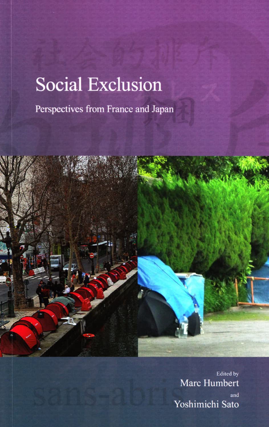 Social Exclusion: Perspectives from France and Japan (Stratification and Inequality, 13) Social Sciences