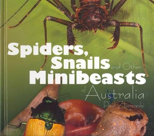 Spiders: Snails and Other Minibeasts of Australia Non-fiction