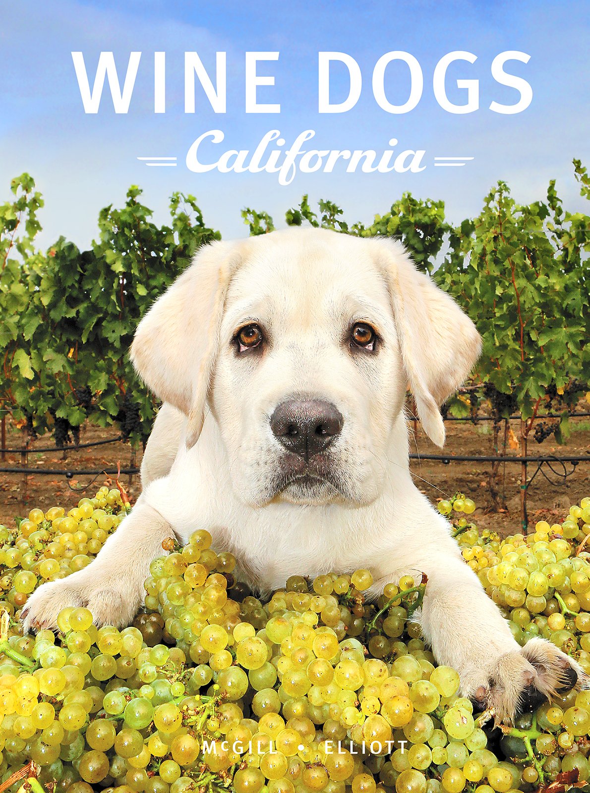 Wine Dogs California 3 Books