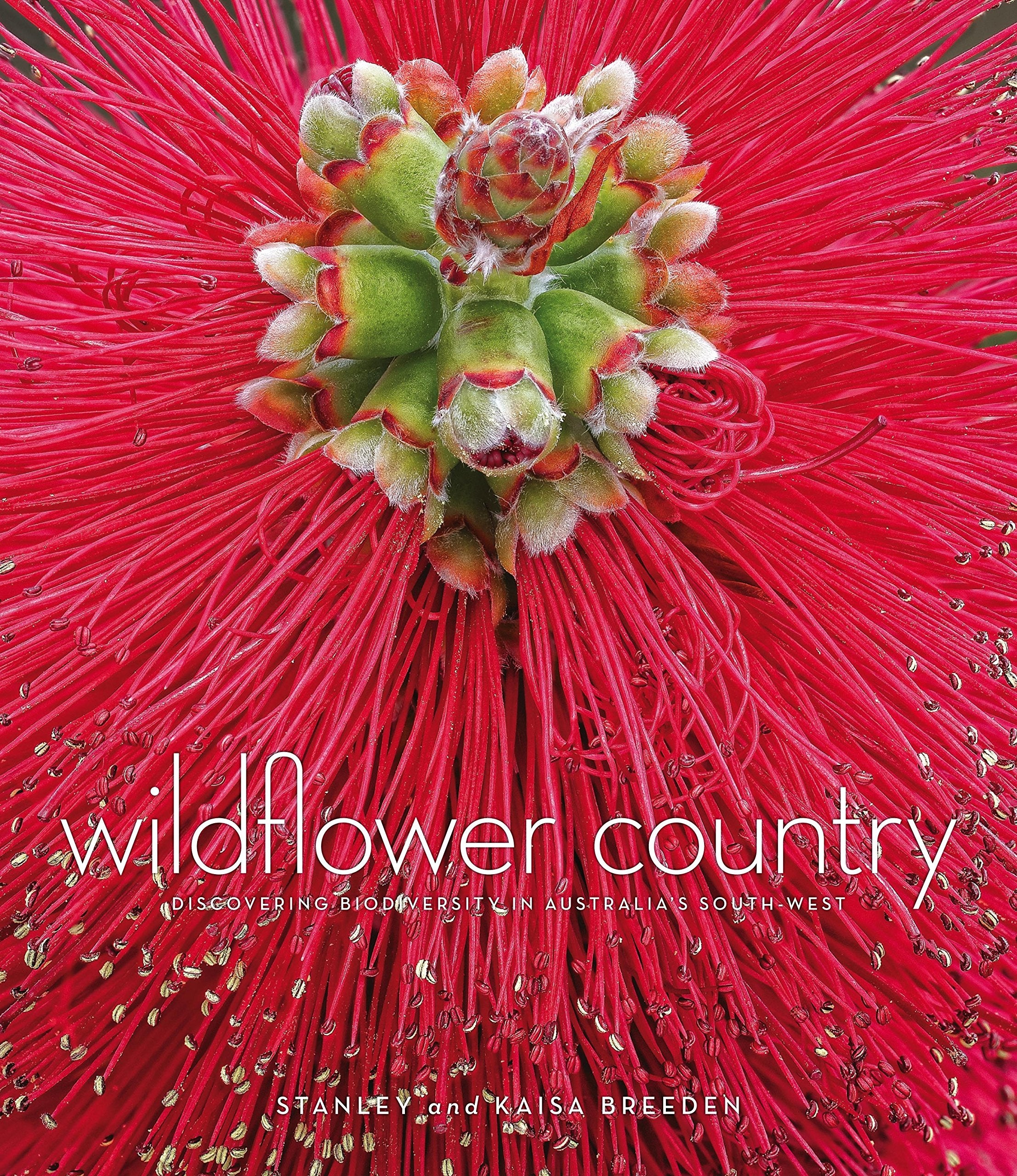Wildflower Country: Discovering Biodiversity in Australia's Southwest Mathematics