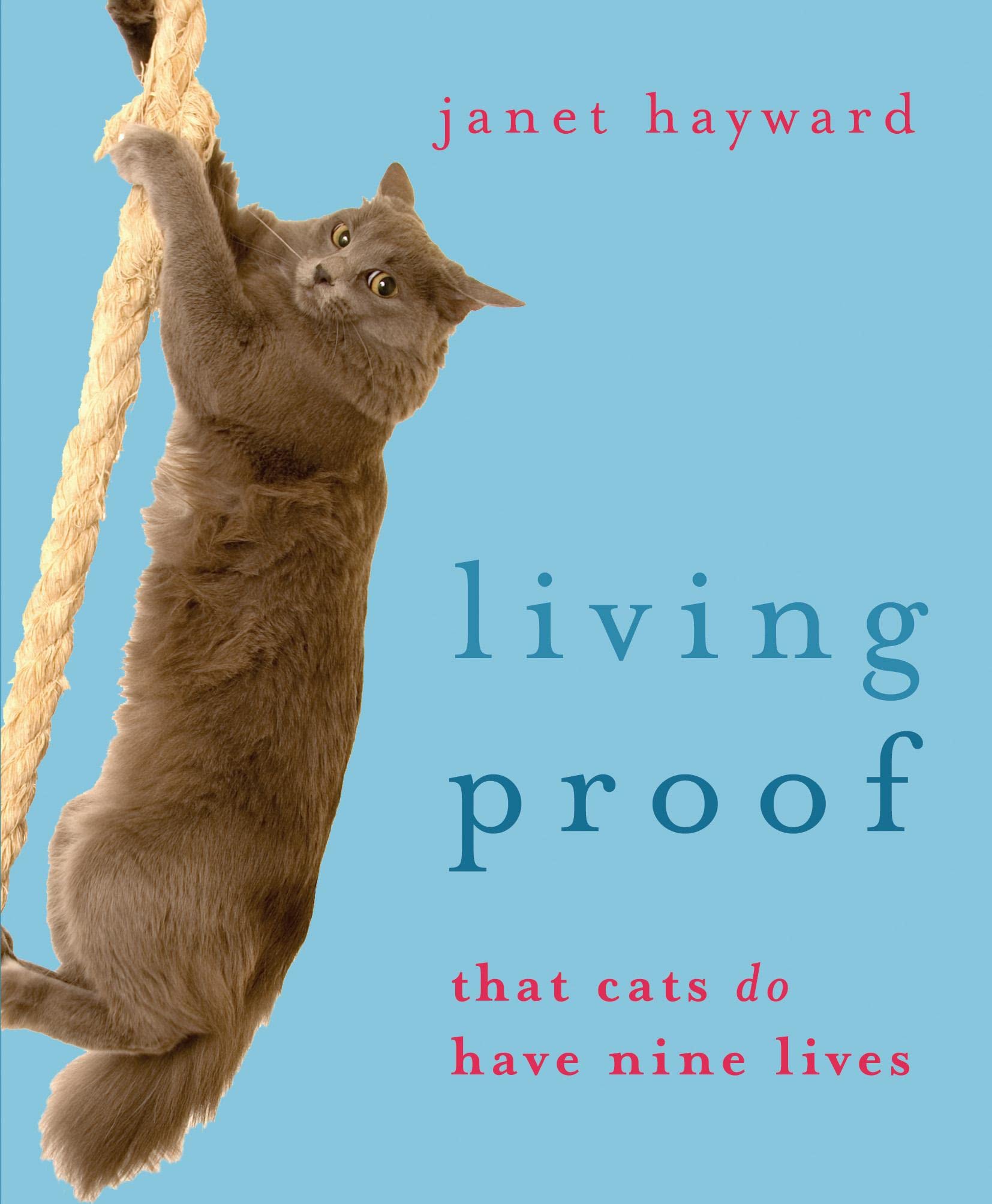 Living Proof: That cats do have nine lives Pets