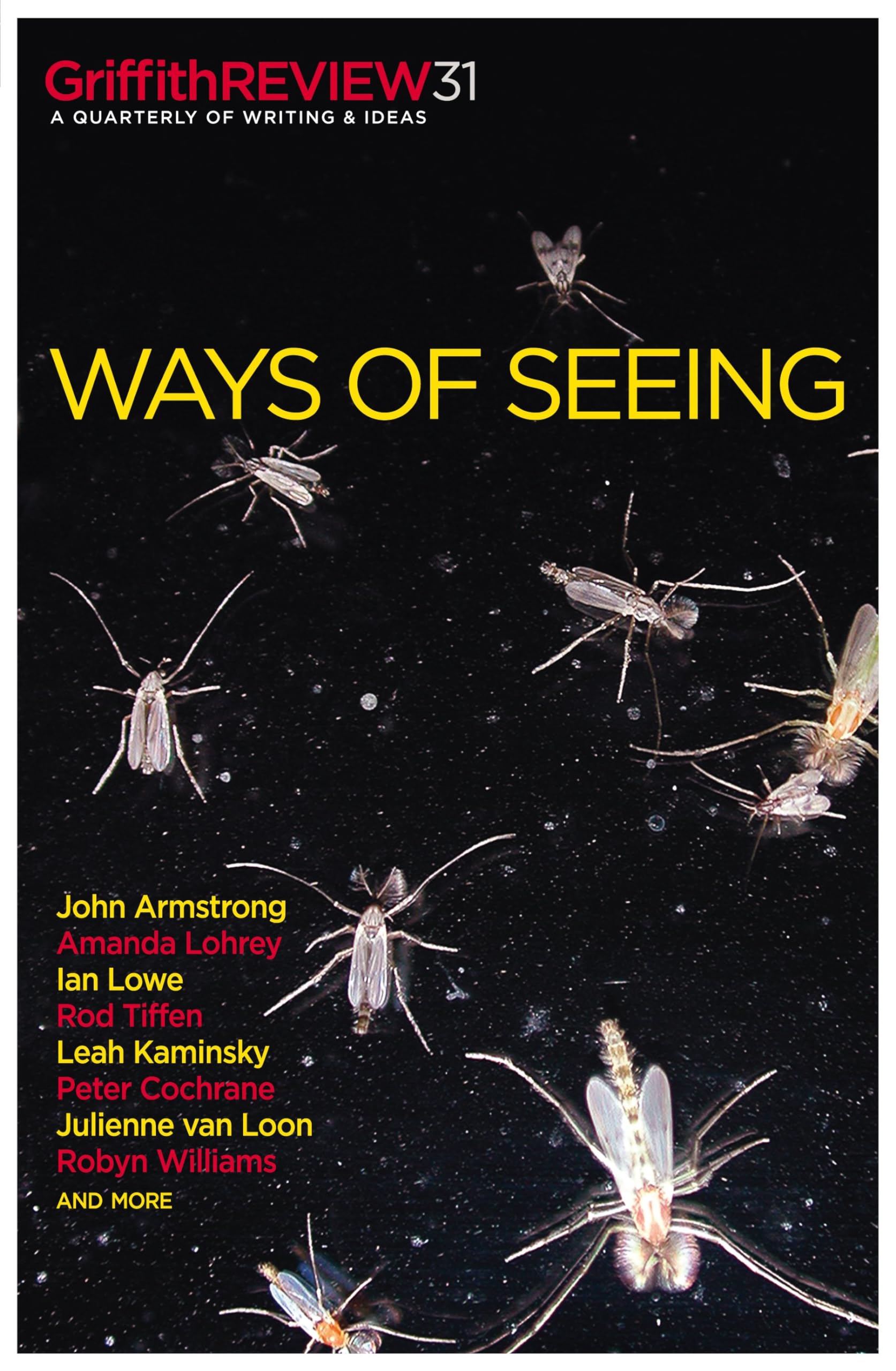 Griffith Review 31: Ways of Seeing Contemporary literature