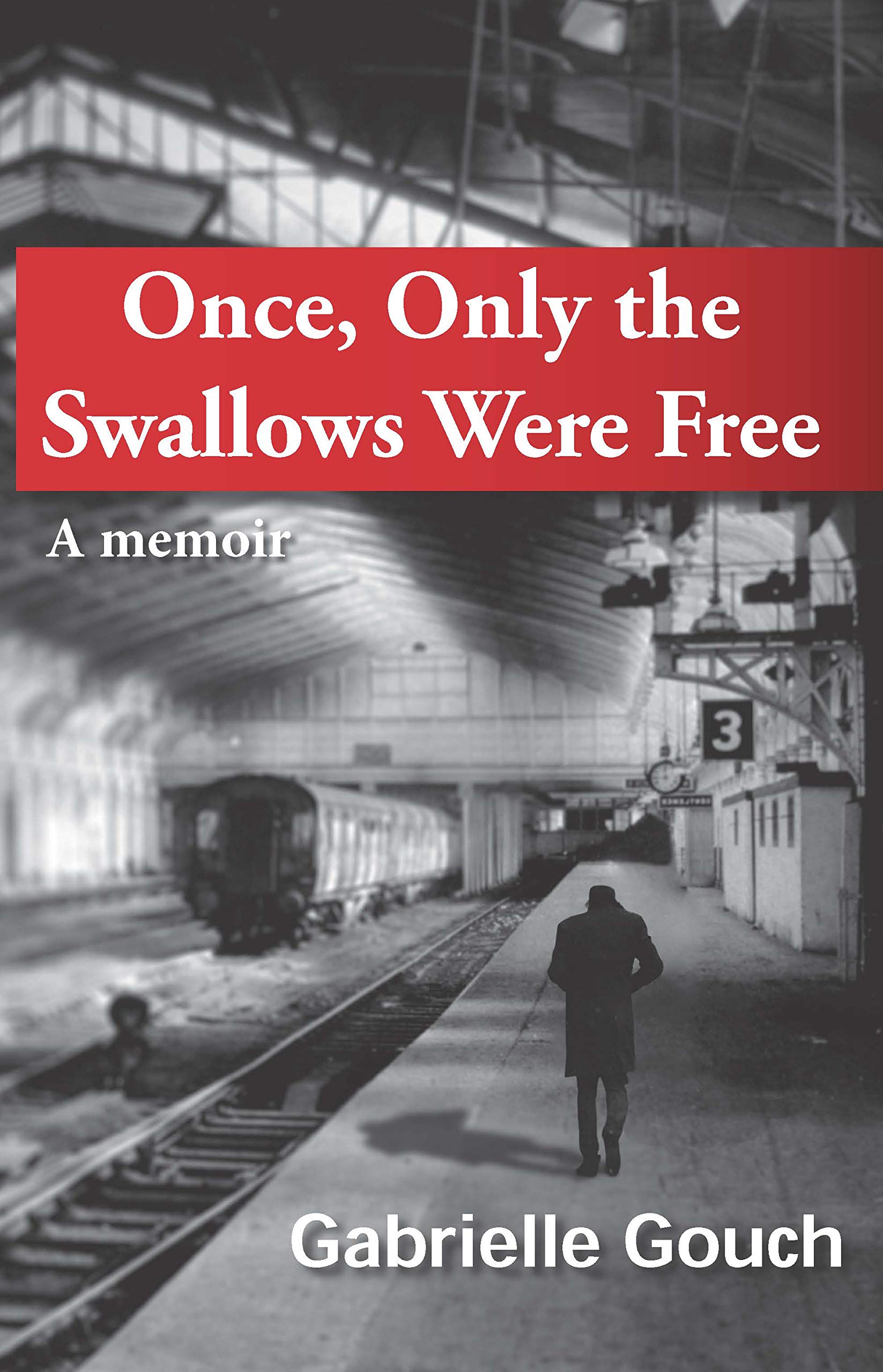 Once, Only the Swallows Were Free: A Memoir Politics & Society