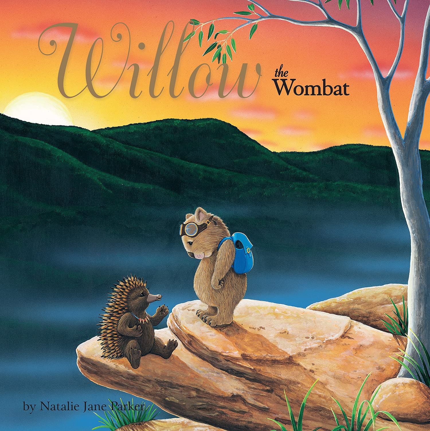 Product Image: Willow the Wombat