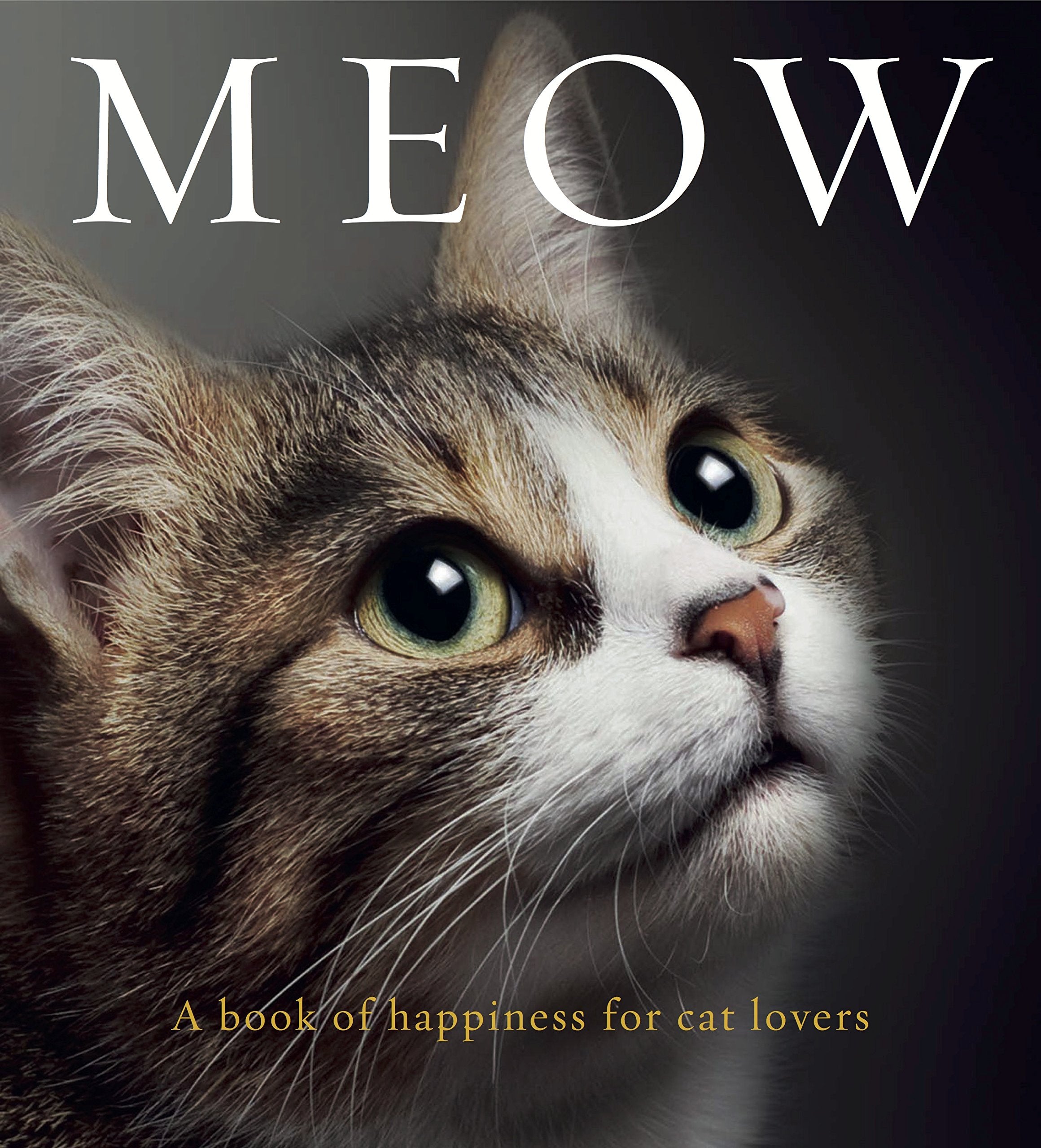 Meow: A Book of Happiness for Cat Lovers book