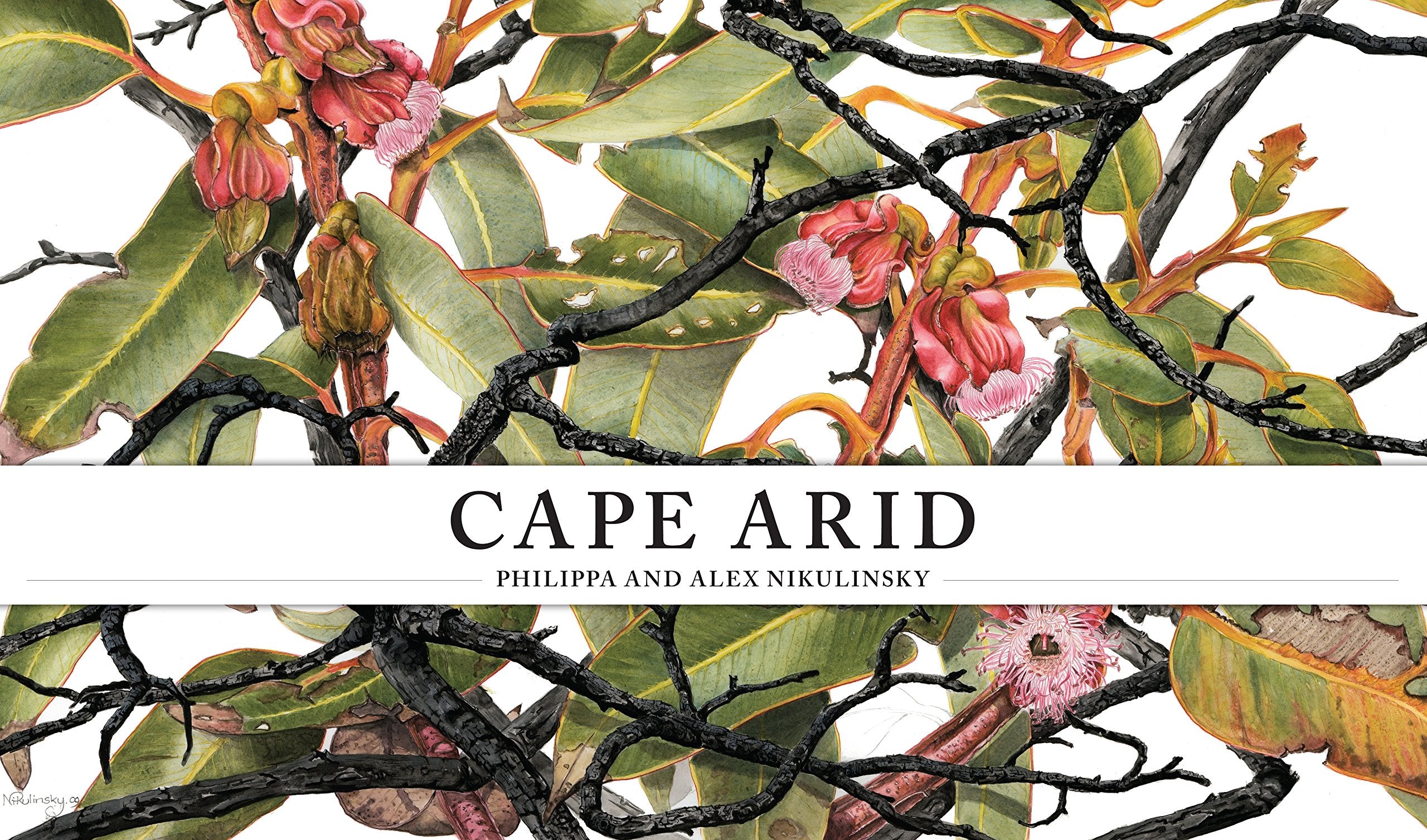 Cape Arid Film, Art & Culture