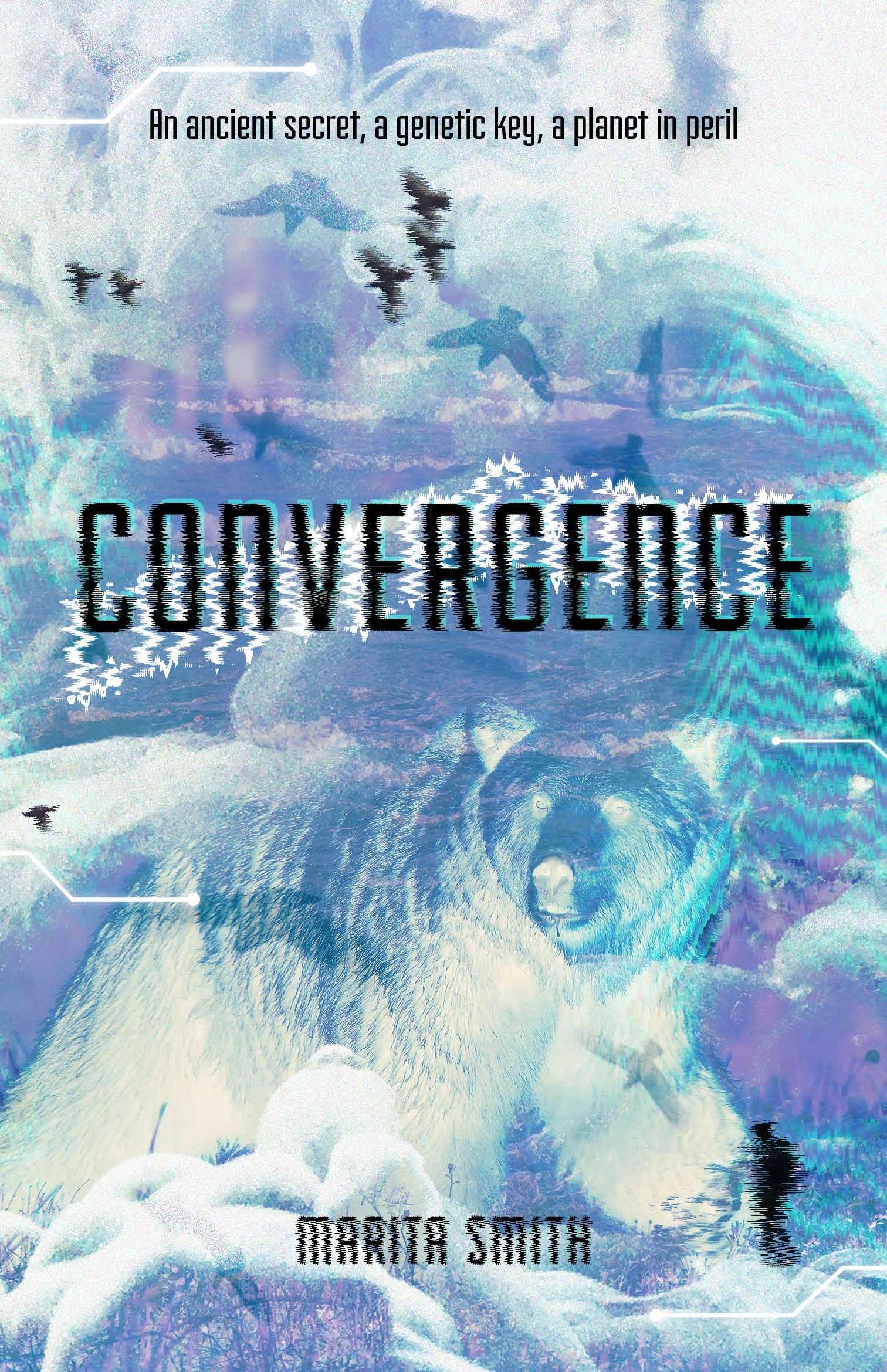 Convergence: An ancient secret, a genetic key,a planet in peril book