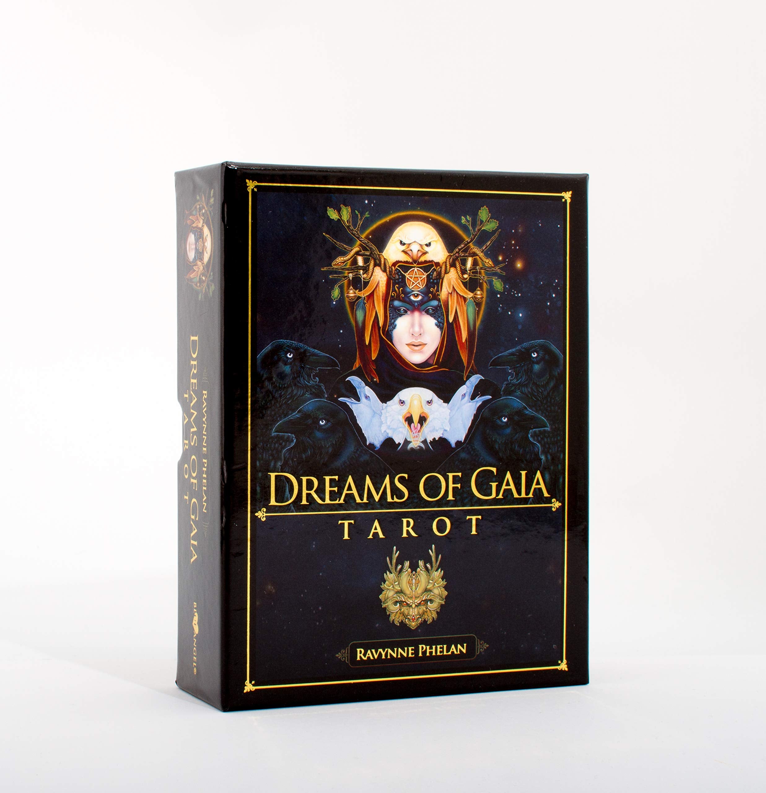 Dreams of Gaia Tarot: A Tarot for a New Era Religion & Esotericism
