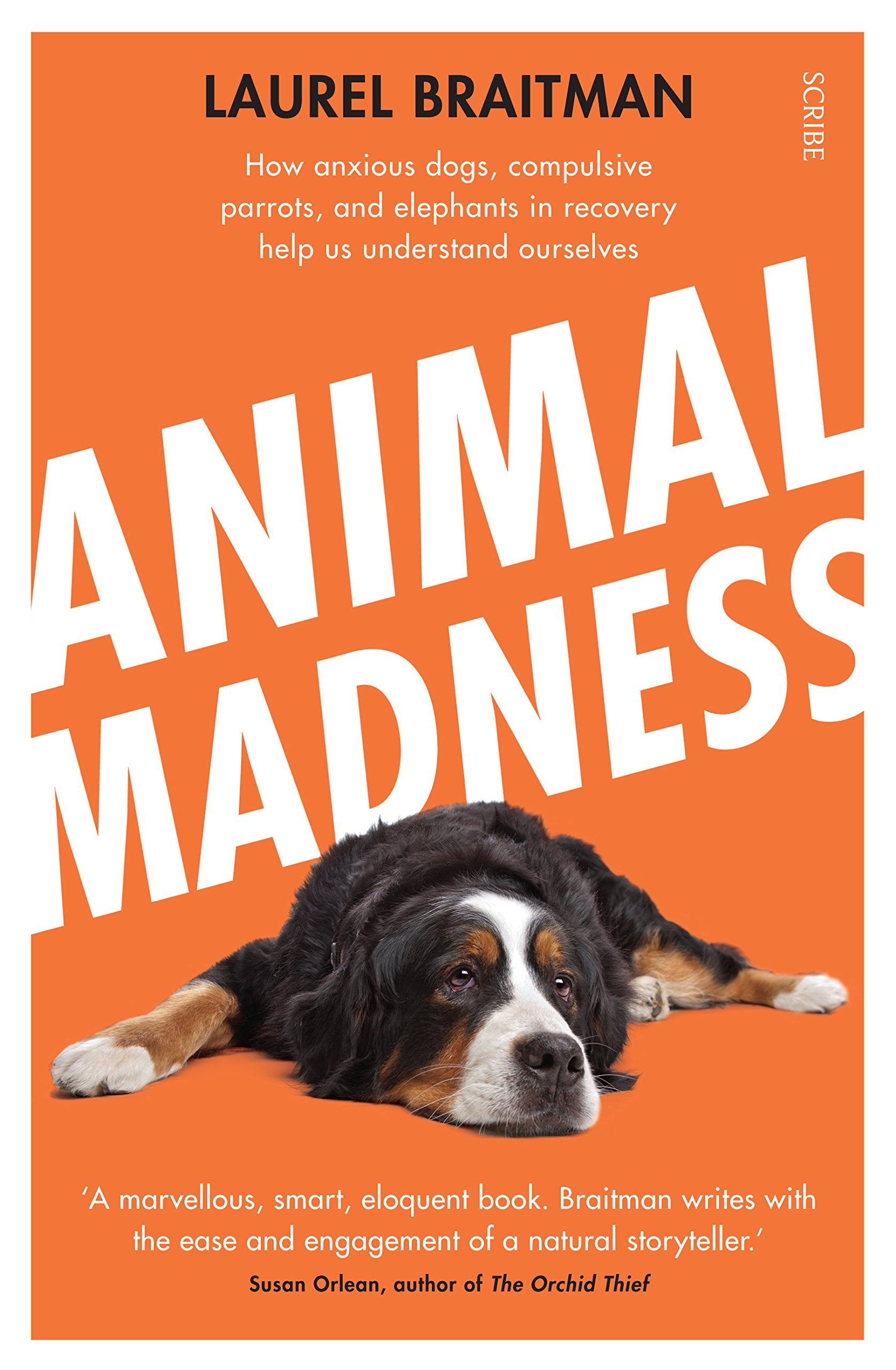 Animal Madness: how anxious dogs, compulsive parrots, and elephants in recovery help us understand ourselves book